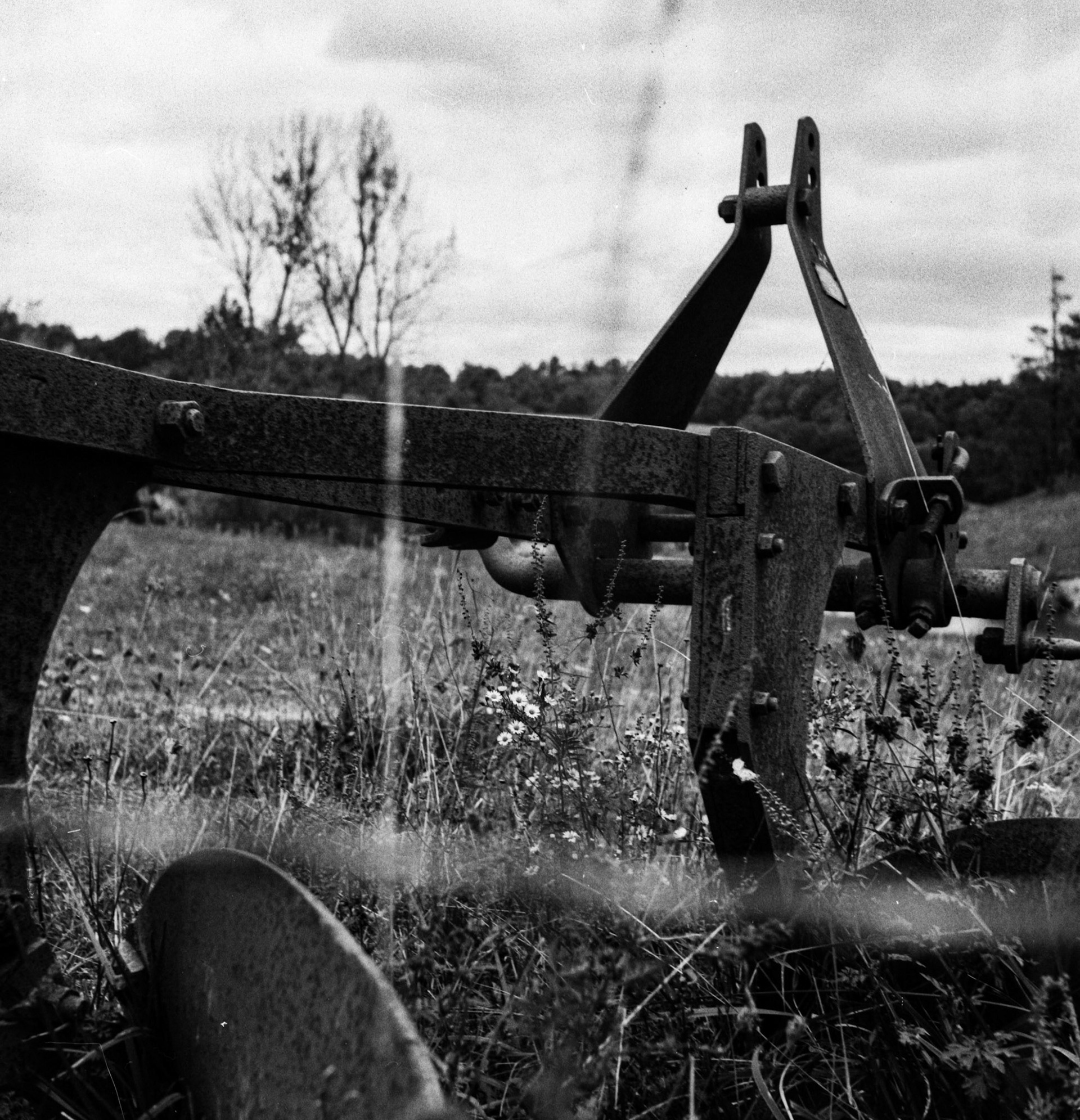 Md. Format film (Tri-X I believe), scanned via epson flatbed