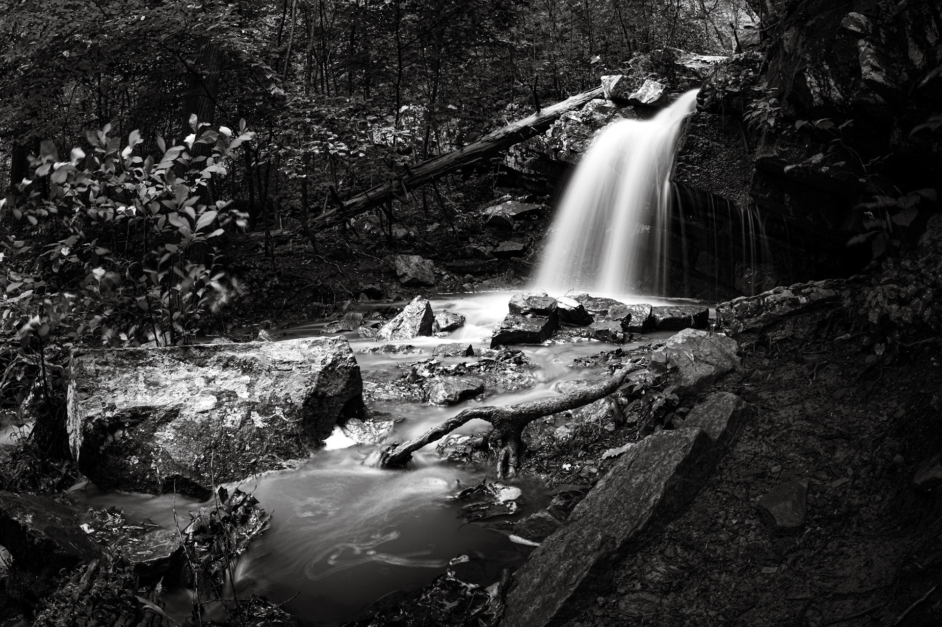 Title: , Make: Sony, Model: ILCE-7RM4, Lens: ----, Focal Length: , Shutter: 4.0 sec, ISO: ISO 100, Flash: Did not fire, Post: ILCE-7RM4 v1.20, Orig. Dimensions: 9504 x 6336, Cropped To: 7577 x 5050