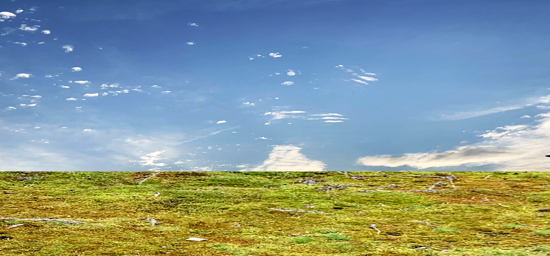 Panorama 1