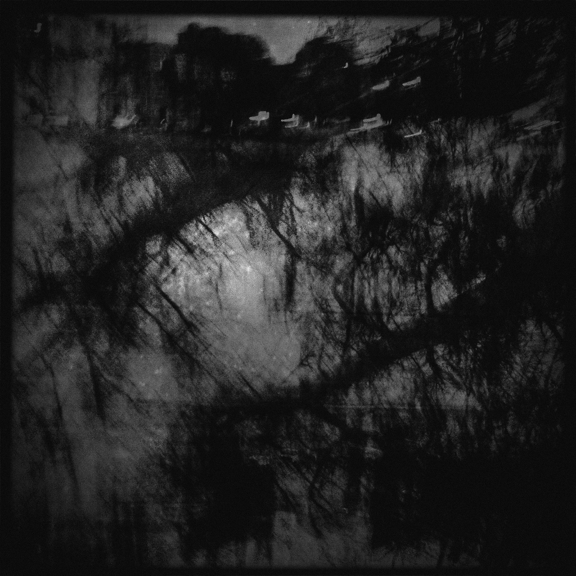 Dark Swamp