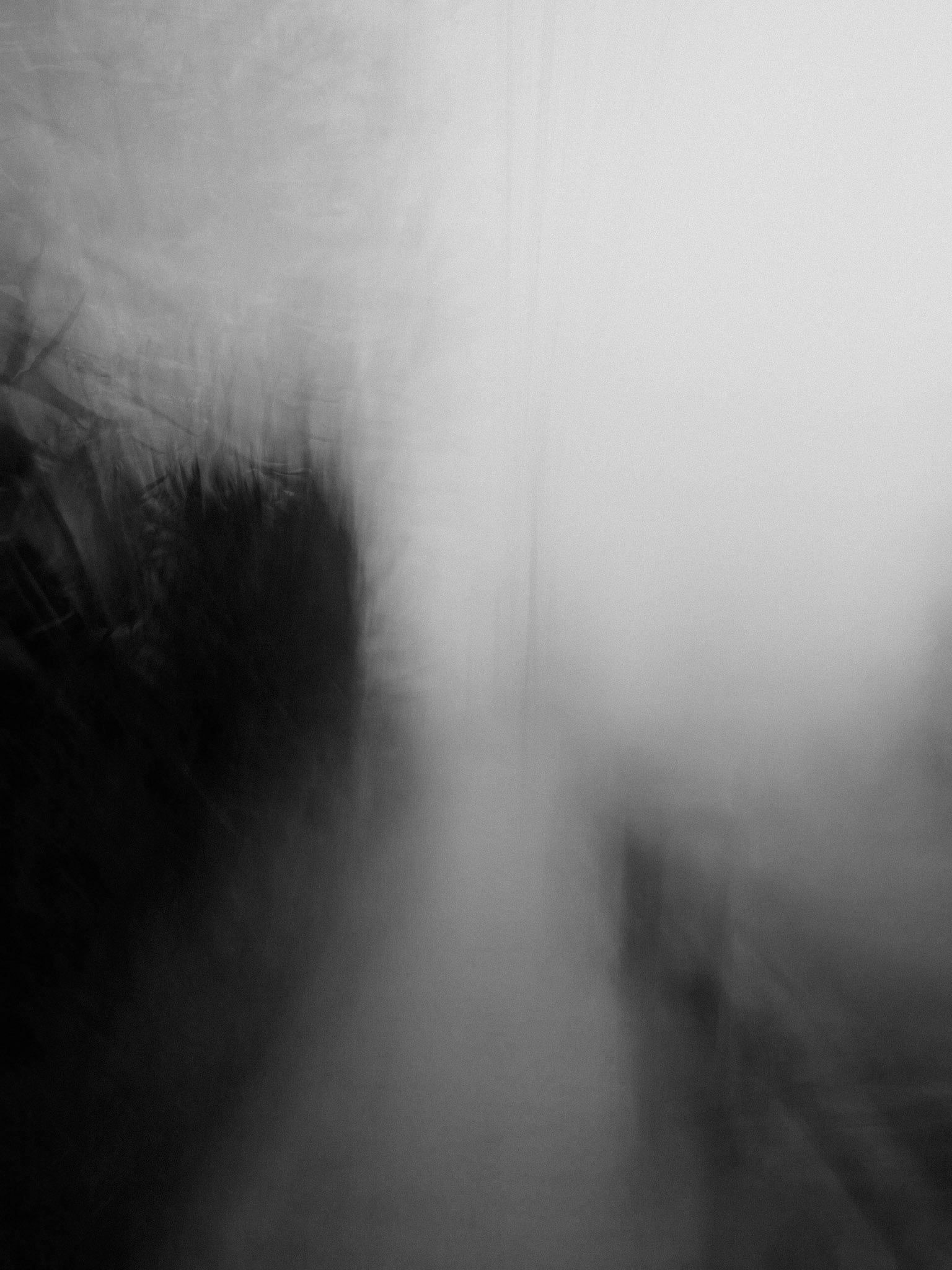 Grey Days