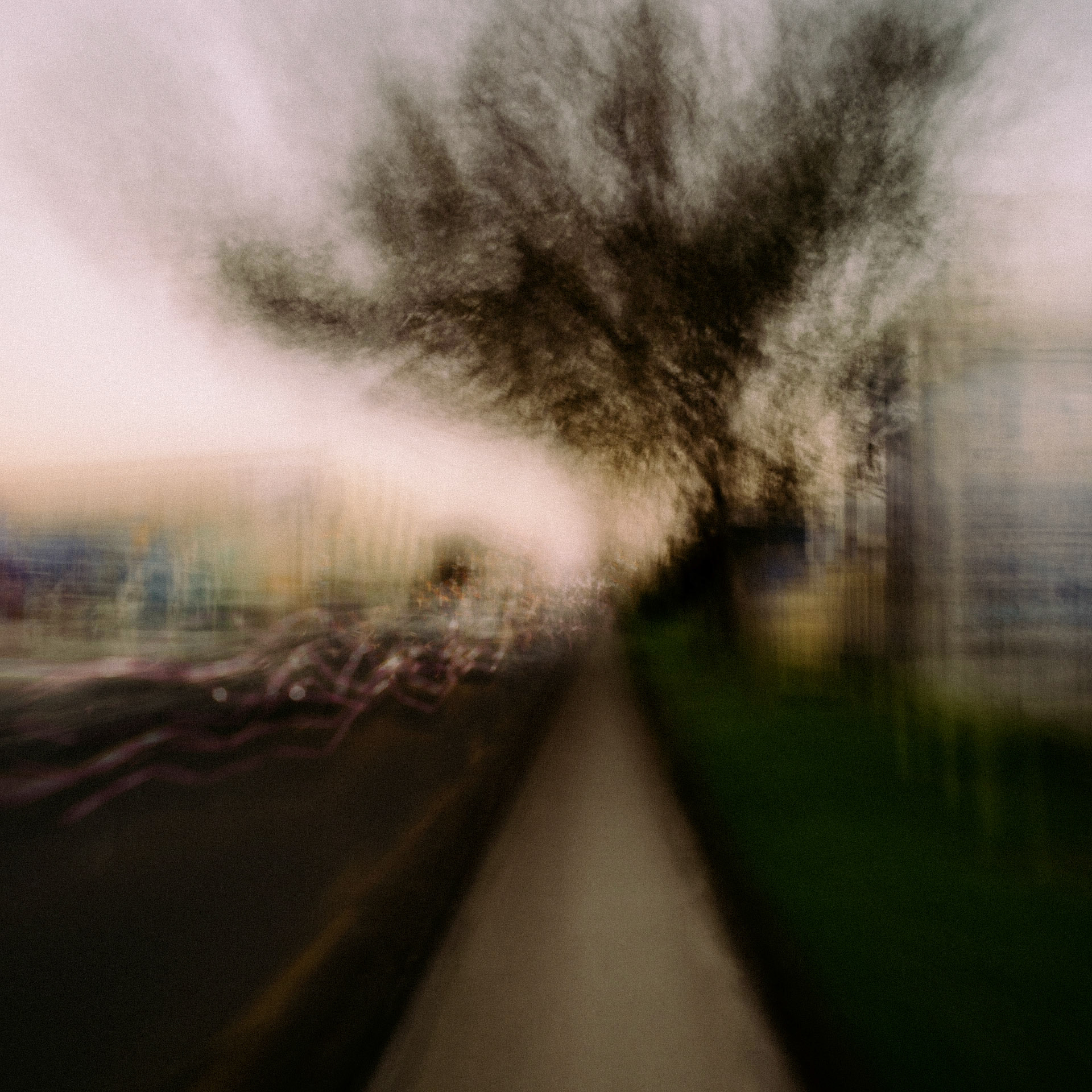 Race