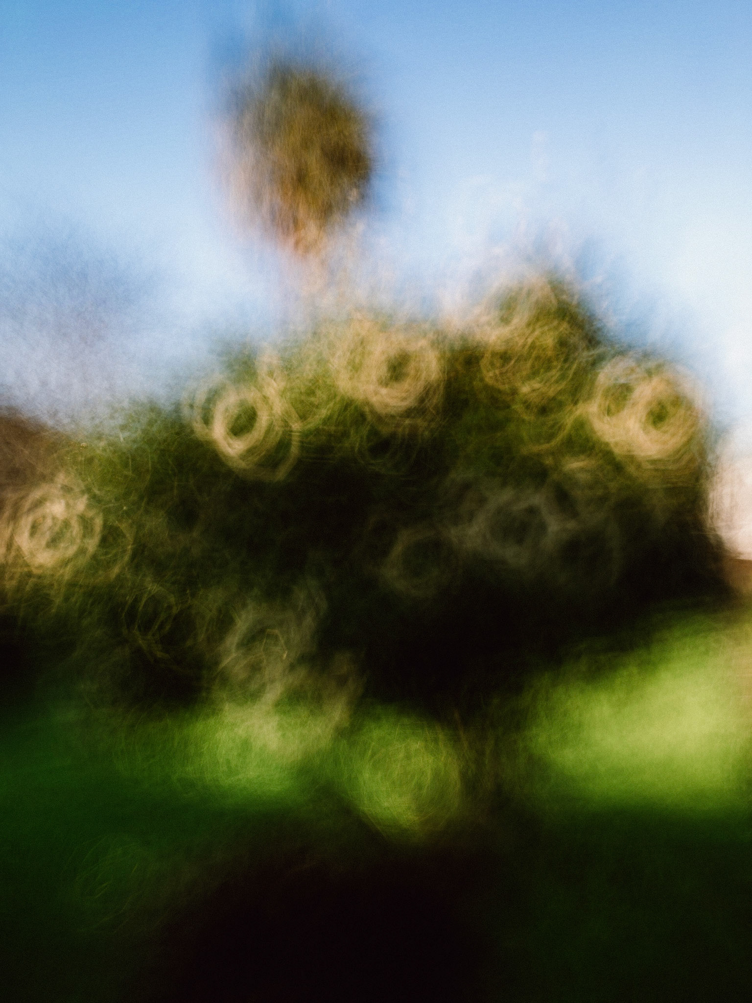 Encircled