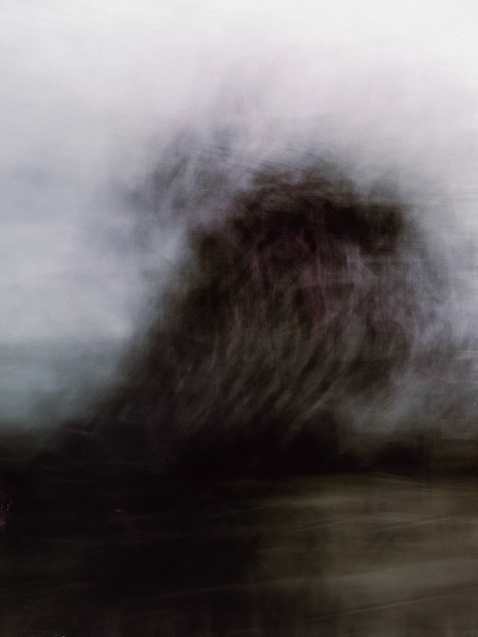 Muddied Copse