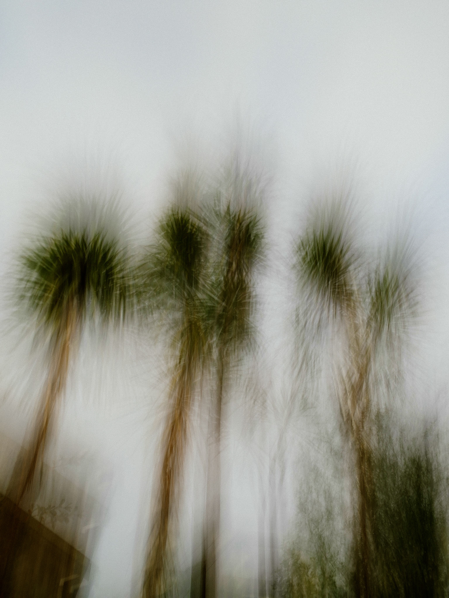 Sentinels