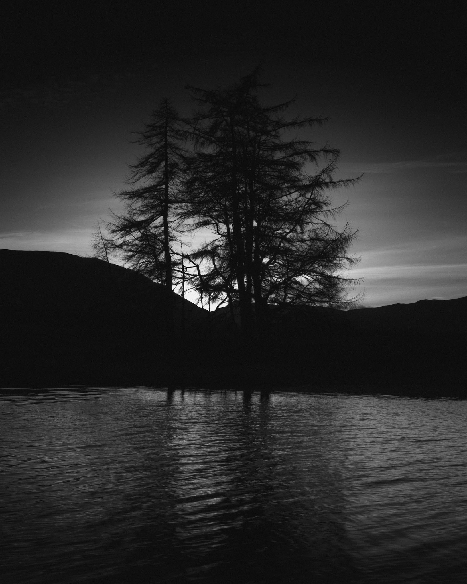 Larch Trees, Loch Tulla ~ 4:46pm Fri 26th Nov 2004