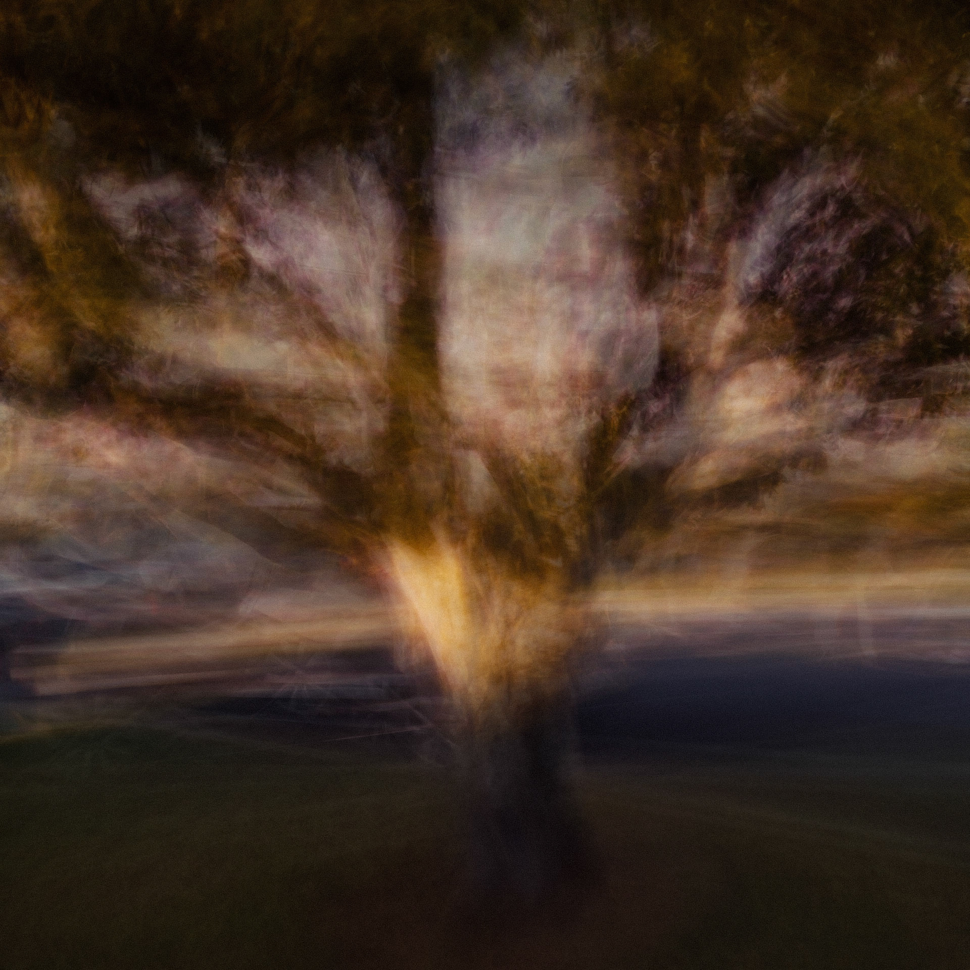 Early Light