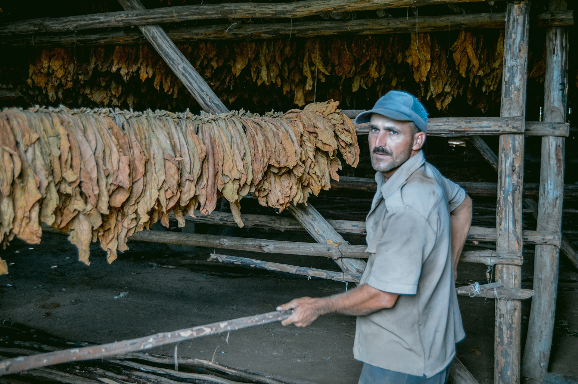 Trabajador del tabaco