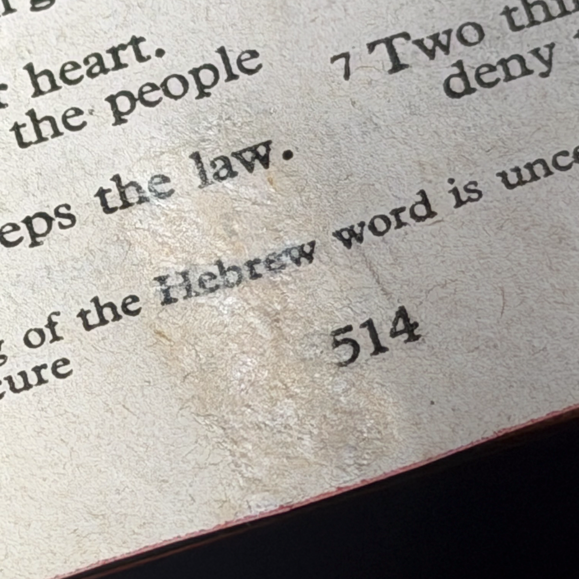 Colocamos el injerto y posicionamos para esperar el secado.