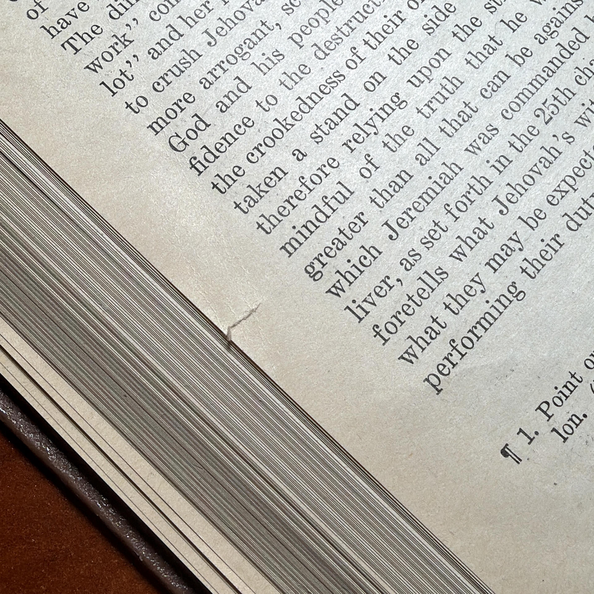 Algunas eran pequeñas pero otras bastante amplias.