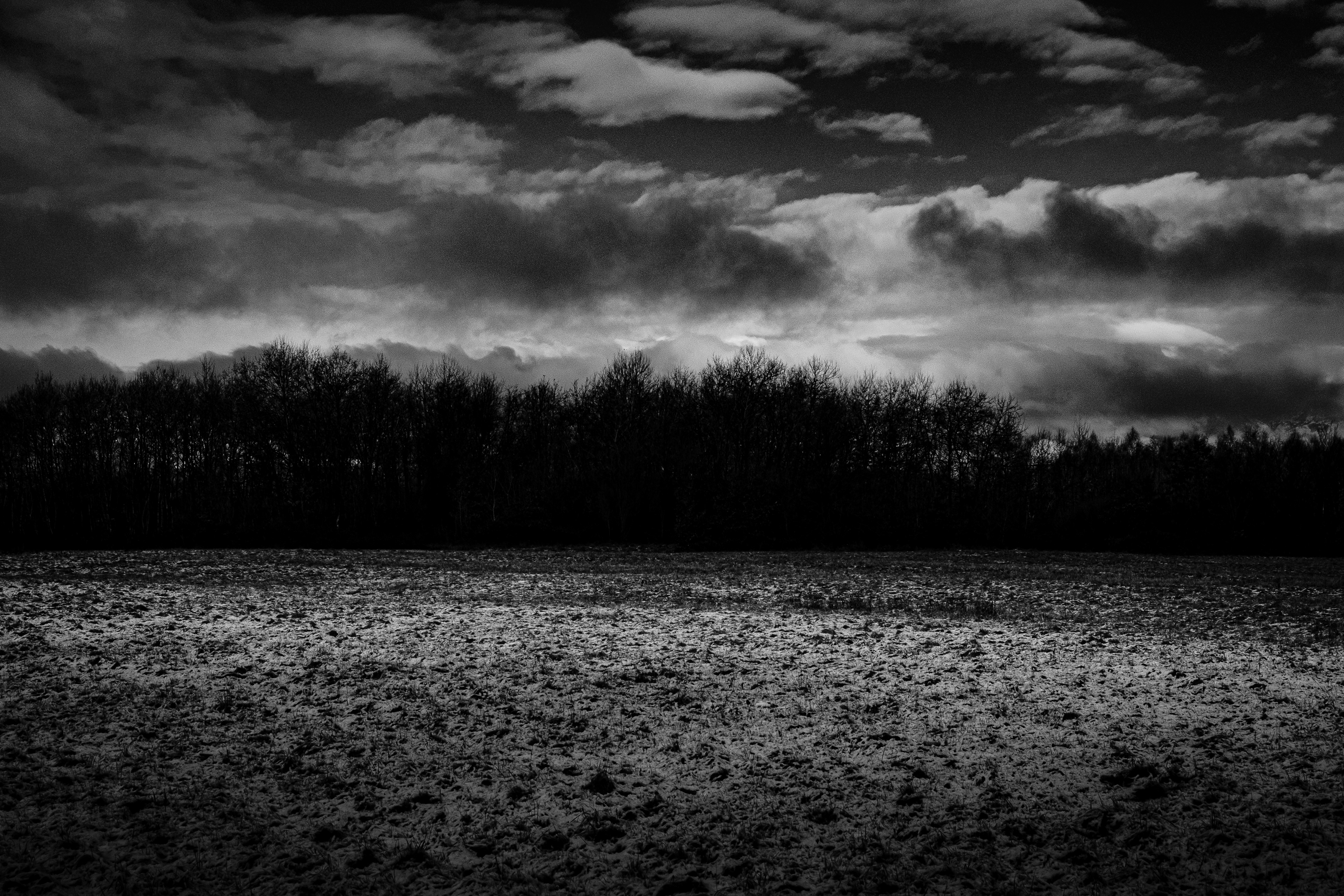 . . .  𝕹𝖚𝖈𝖑𝖊𝖆𝖗 𝖂𝖎𝖓𝖙𝖊𝖗  . . .