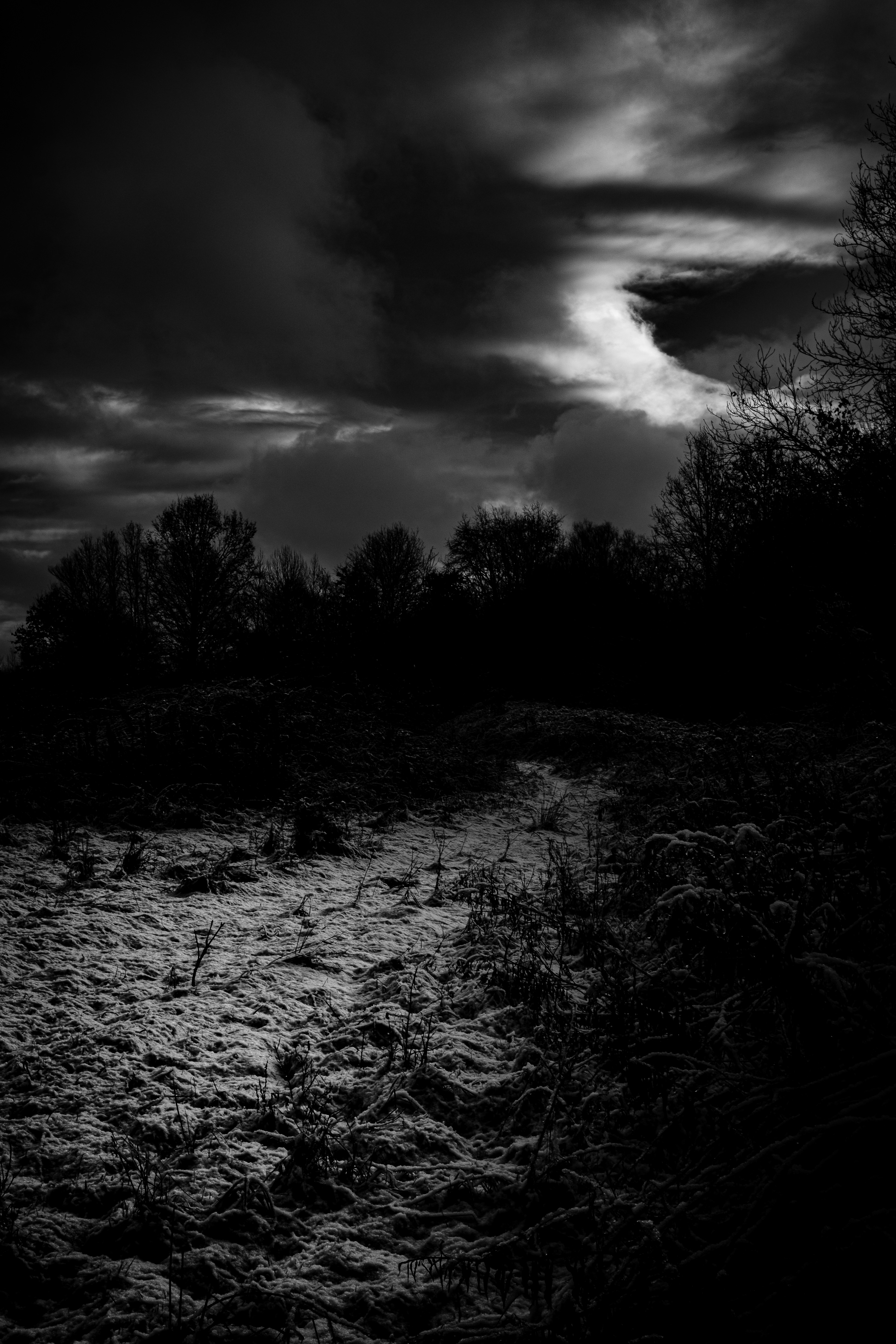 . . .  𝕭𝖑𝖆𝖈𝖐 𝕳𝖔𝖑𝖊 𝕾𝖚𝖓 . . .