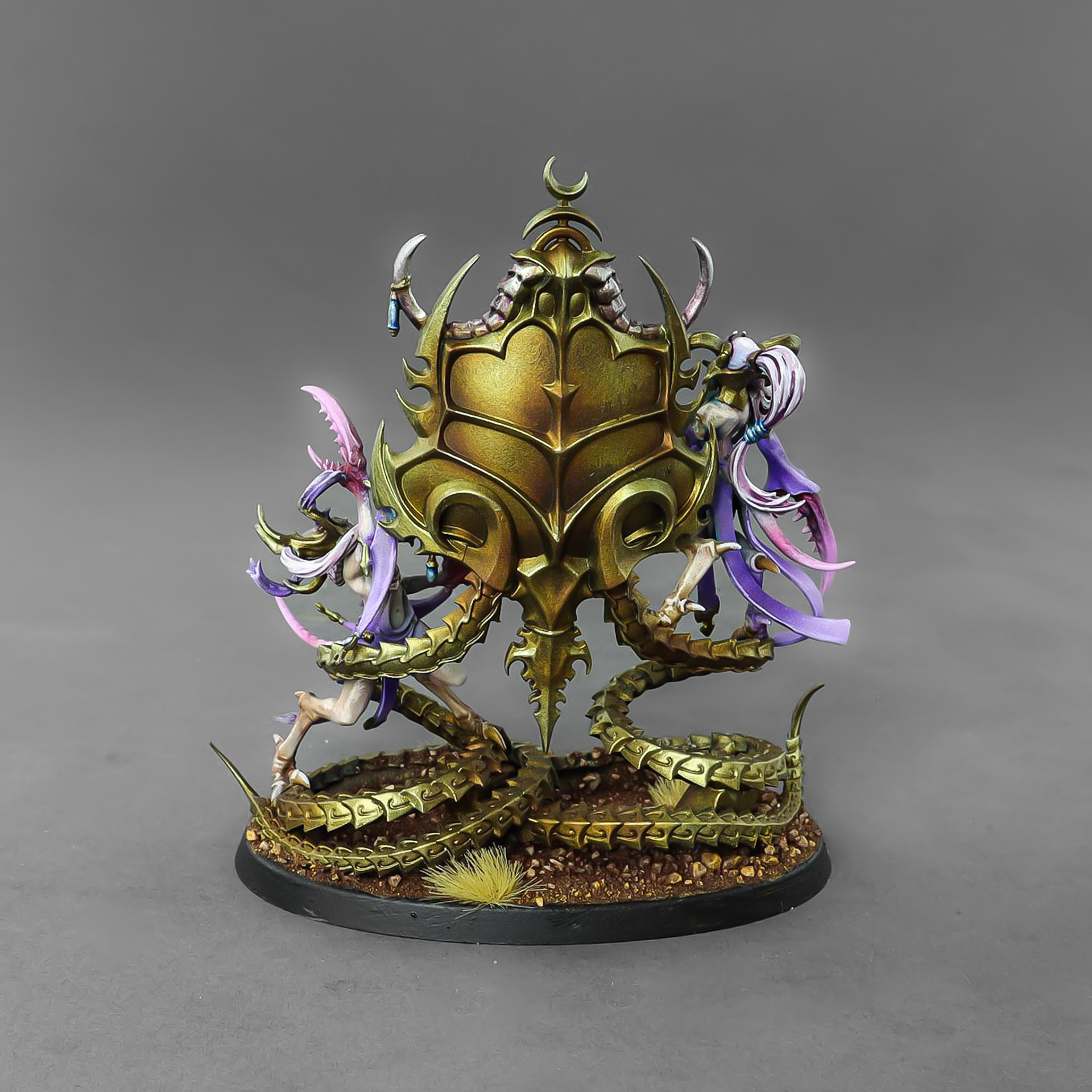 The Contorted Epitome