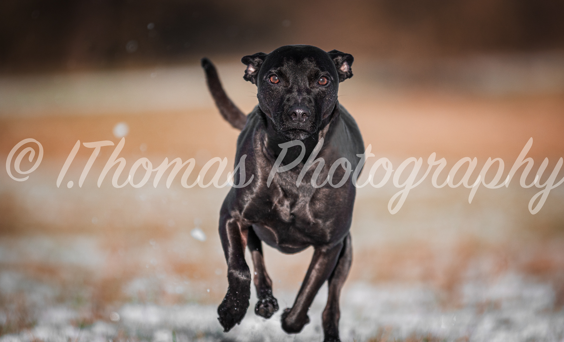 27 -fully edited -