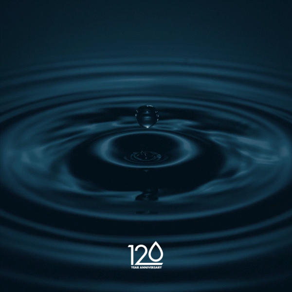 HANSGROHE // TLGG // 2021