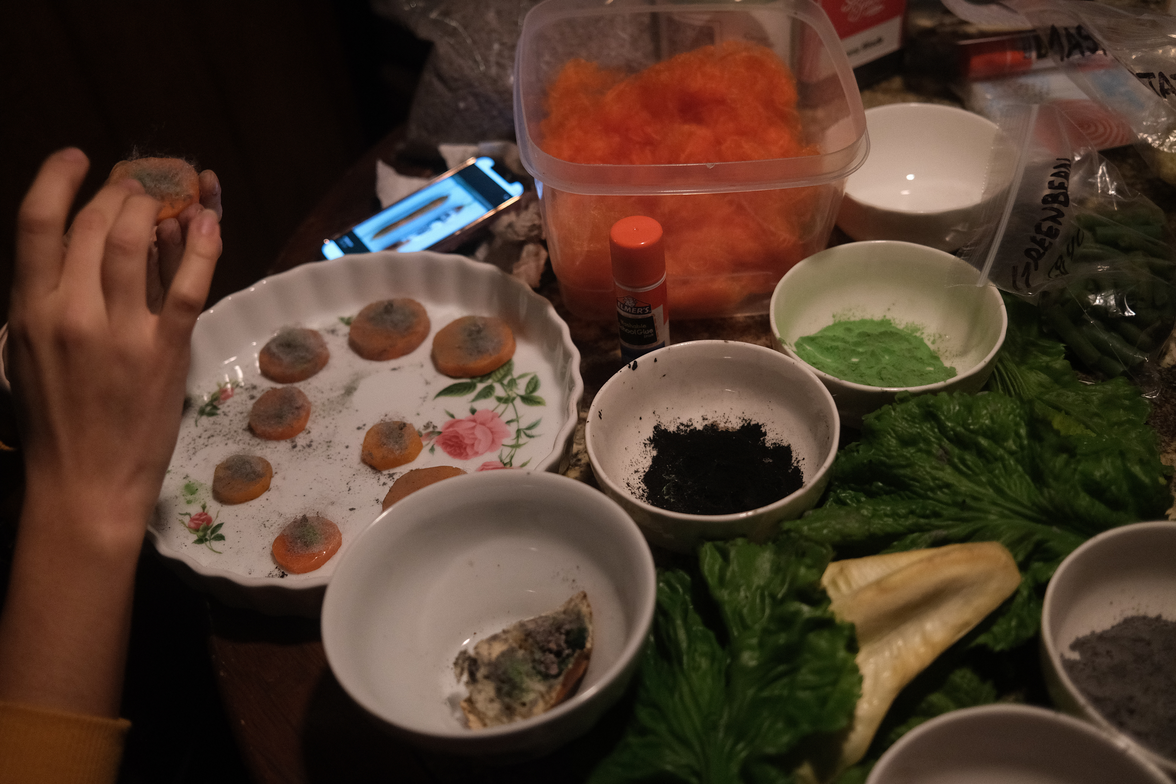 Making Rotten Fake Food