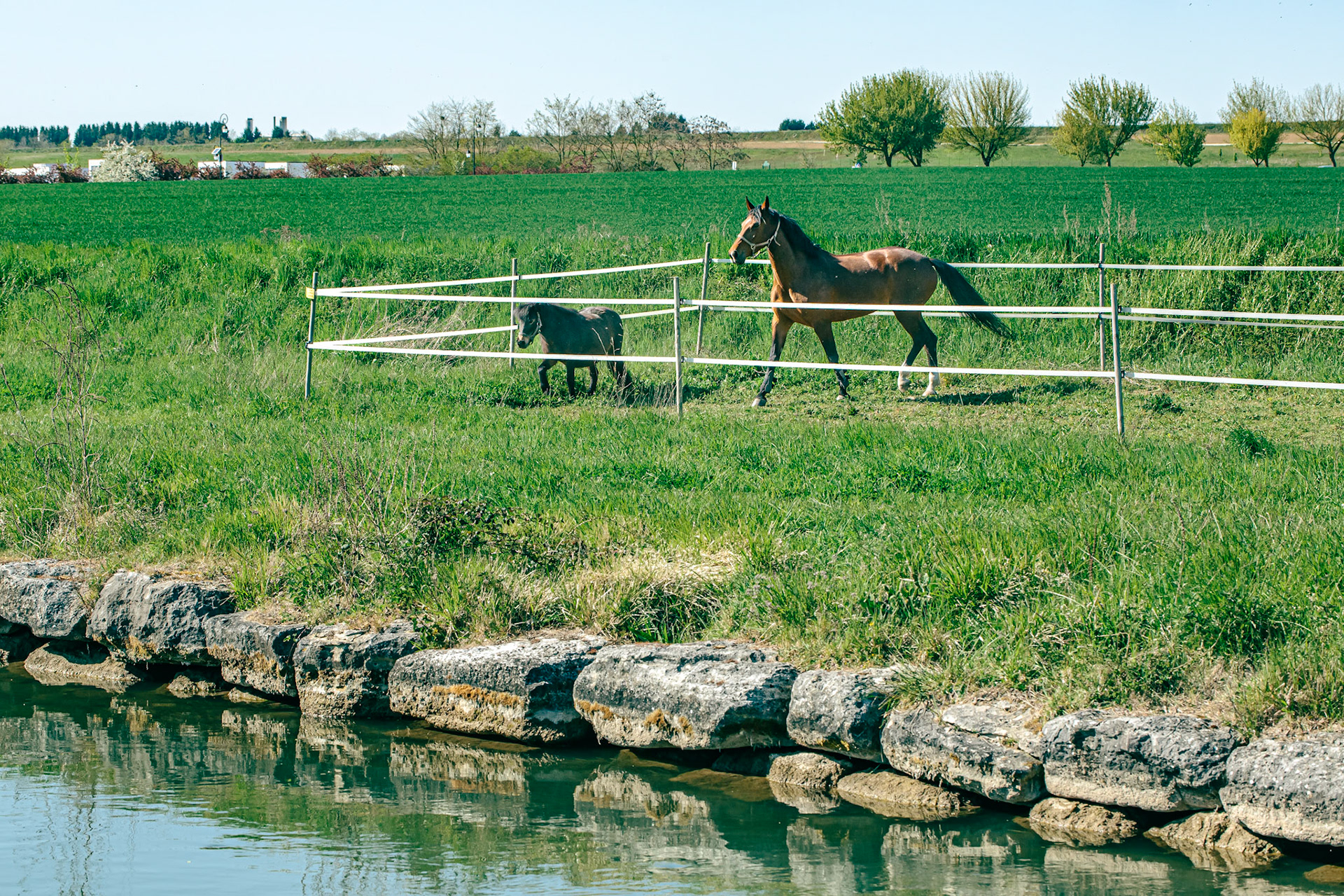 Les Écuries des Tillets à Fresnes le long du canal de L'Ourcq.