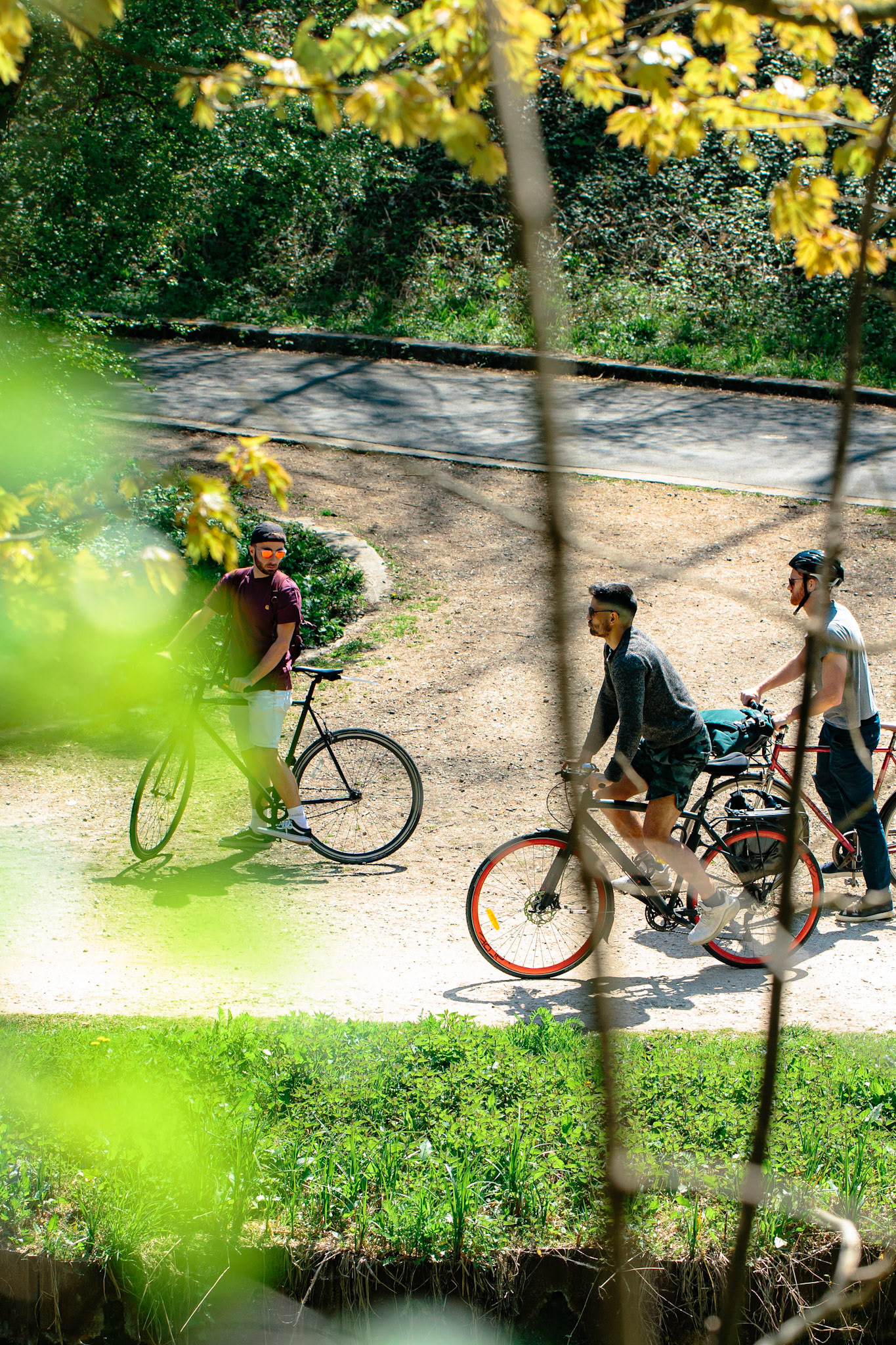 Blotti dans la végétation rive droite à l’opposé de la piste cyclable, j’observe discrètement les promeneurs faire une halte pour s’enquérir de leur destination.