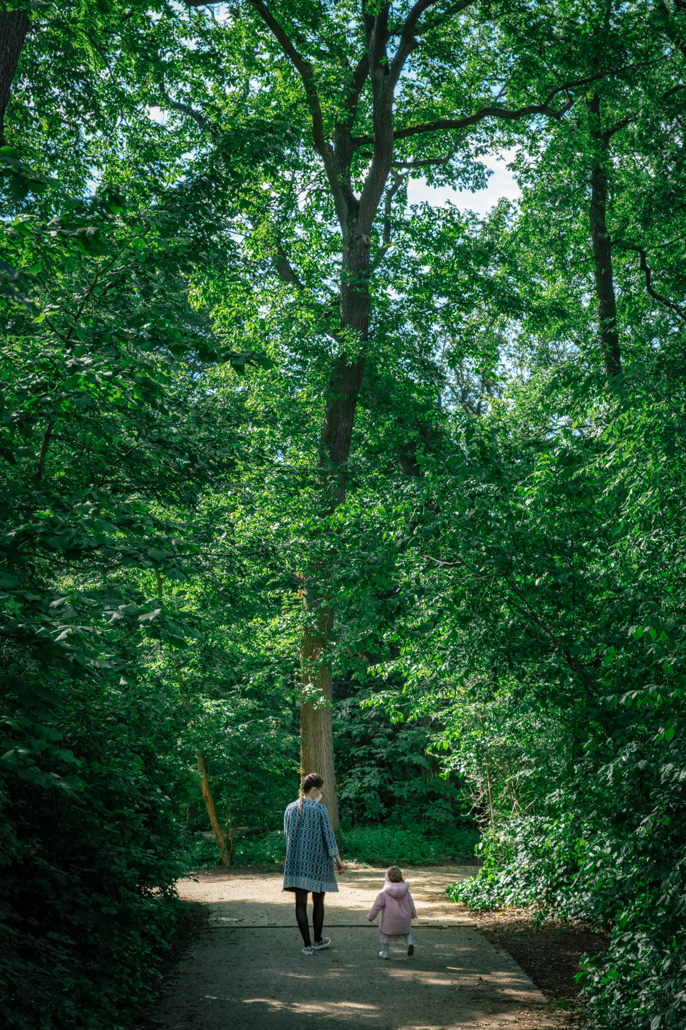 29 - Bois de la Solitude