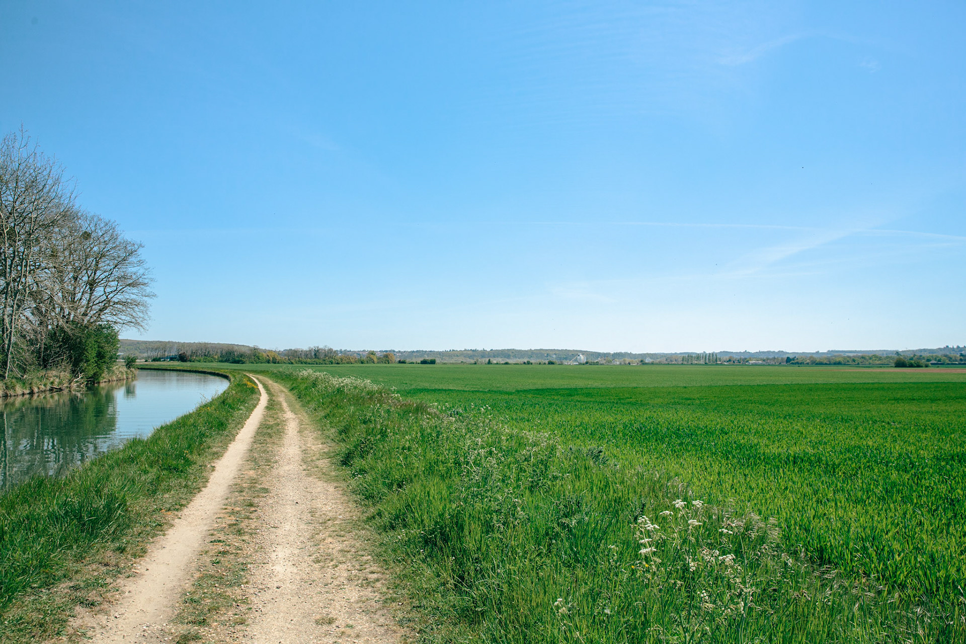 Prendre son vélo, échapper à tout, et laisser ses sens émerveillés. Le canal de l’Ourcq habituellement bordé d’arbres parallèles suivi d’une route laisse place à l’immédiateté de cette étendue verte.