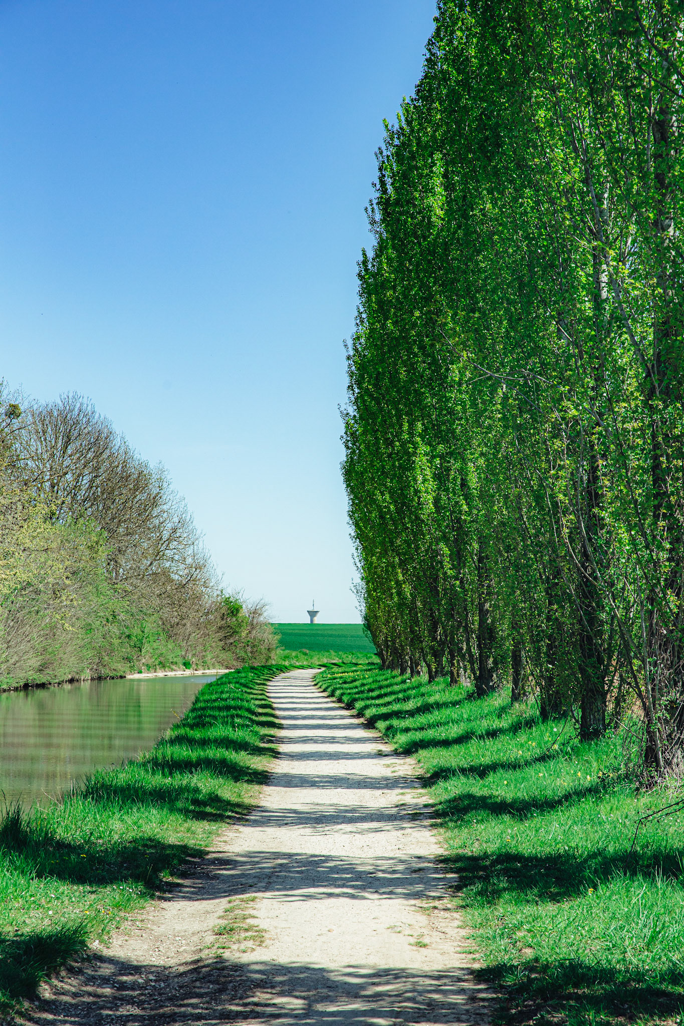 Un château d’eau à l’horizon, des arbres alignés avec élégance, et la solitude le long du canal de l’Ourcq à Fresnes-Sur-Marne