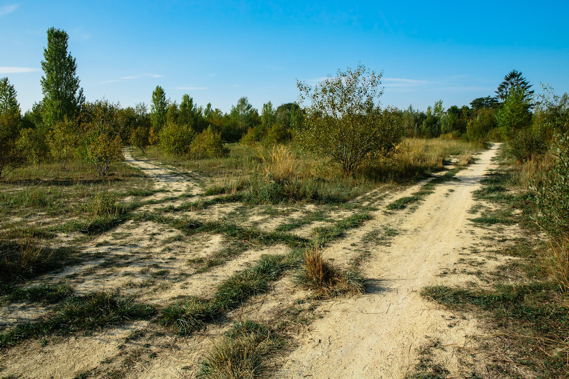 La friche Kodak le long du canal de L’Ourcq à Sevran. Une zone gigantesque où la nature a reprit ses droits, ouverte au public, dans l’expectatif depuis 2 décennies. L’Usine Kodak arrivé dans les années 20 dynamisait toute la ville jusque dans les années 70 avant de fermer suite à la chute d’activité du géant de la pellicule. Le groupe scolaire Victor Hugo où j’ai été, fut construit dans les années 20 suite à l’arrivée de familles d’ouvriers, au milieu des années 90, dans la cour de récréation, nous pouvions voir les grues détruire le batiment. Le long passé industriel, avec ses produits chimiques enterrés dans le sol, a rendu le site inconstructible malgré les multiples projets de dépollution. La nature a reprit ses droits aujourd’hui, et les balades dans ce lieu sont toujours source d’excitation.