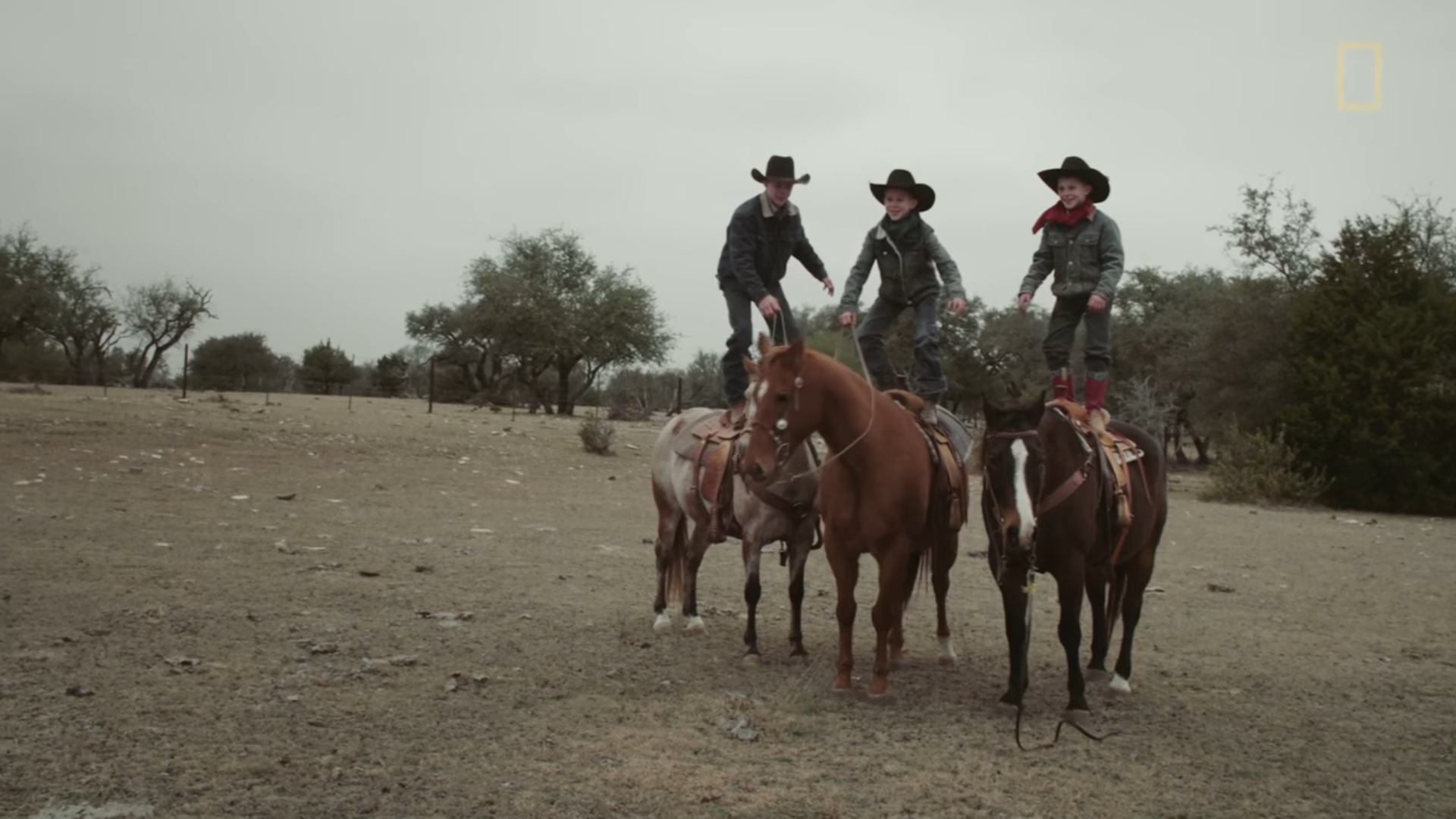 Chris Ramey : Colorist - Exploring Rodeo - National Geographic