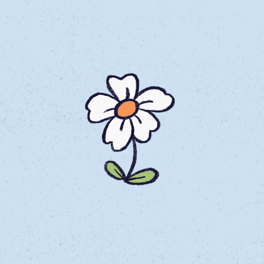 Flowers + Breakfast, 2023