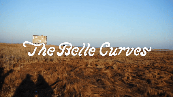"Check Engine Light" animated video for The Belle Curves, 2022