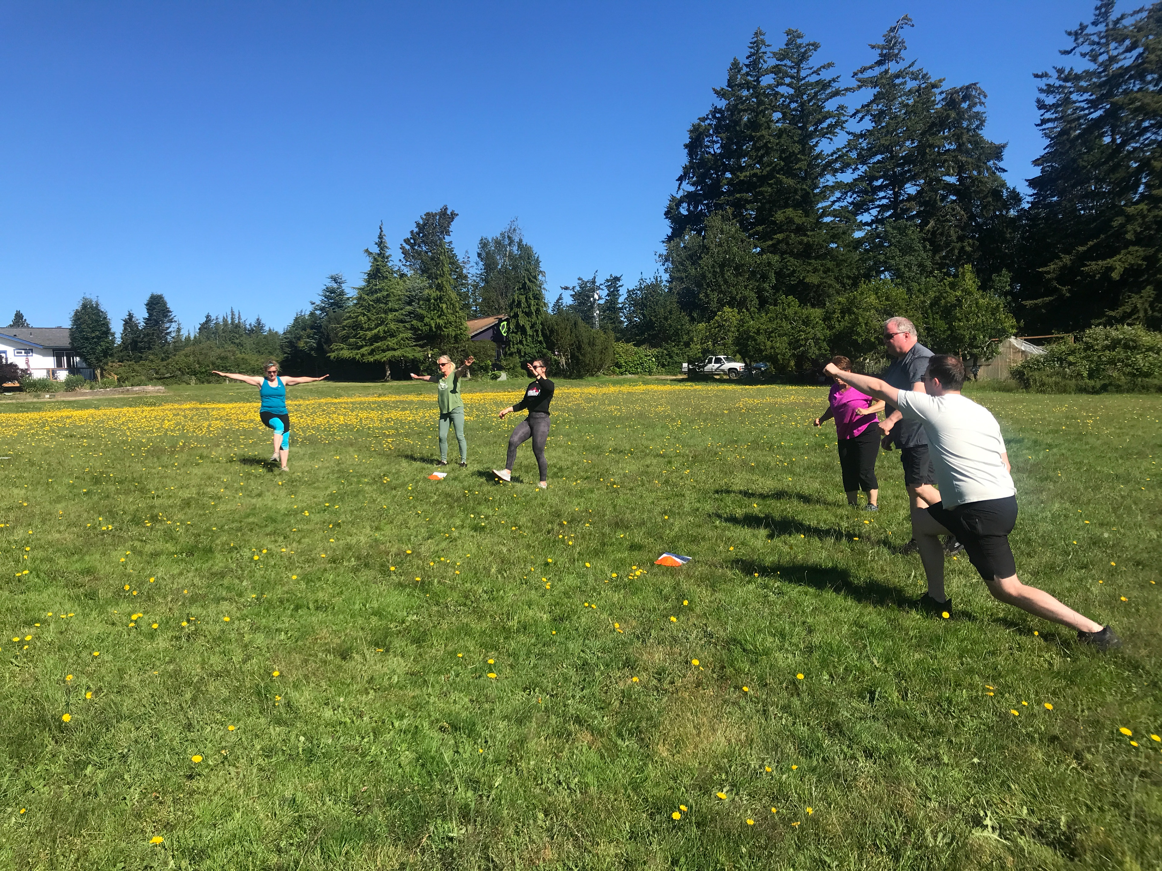 Balance and cardio stations