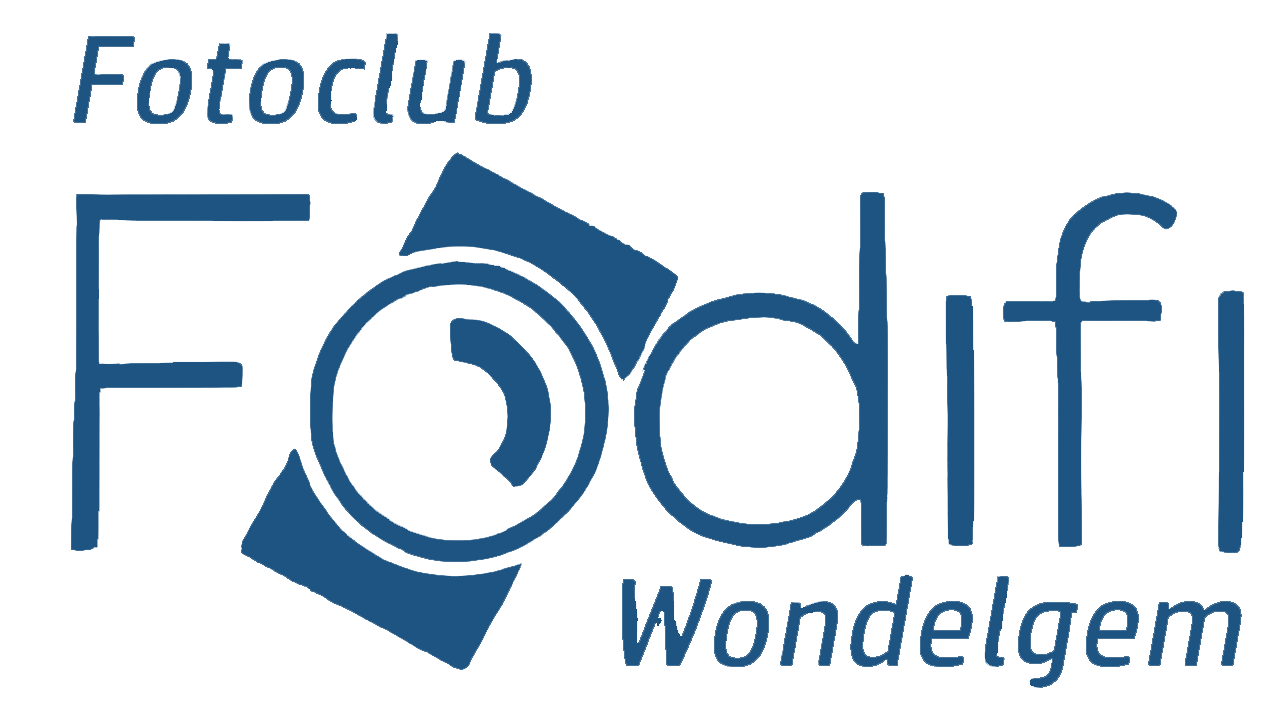 Ondervoorzitter Fodifi