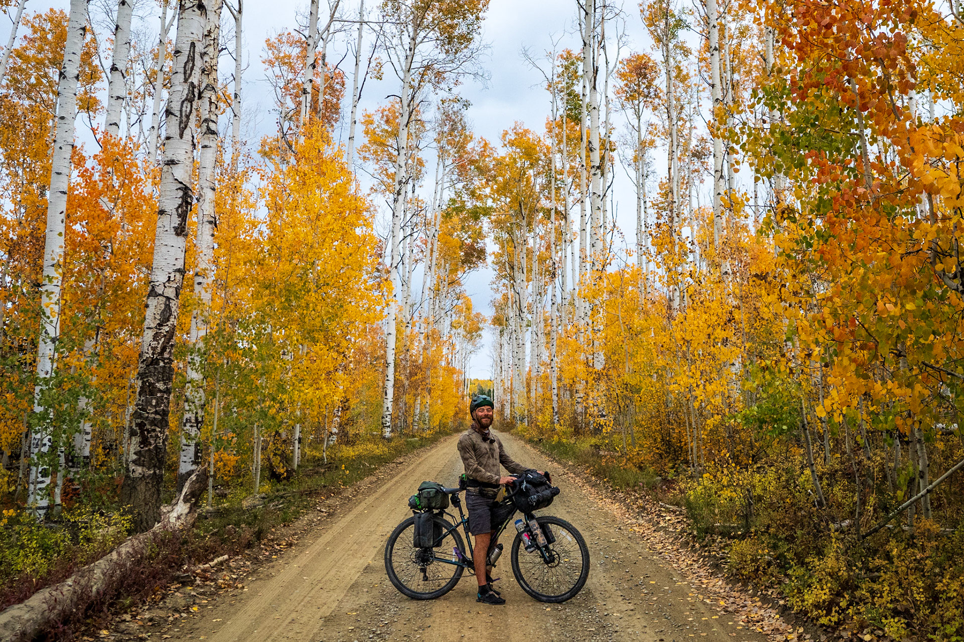 Colorado foliage