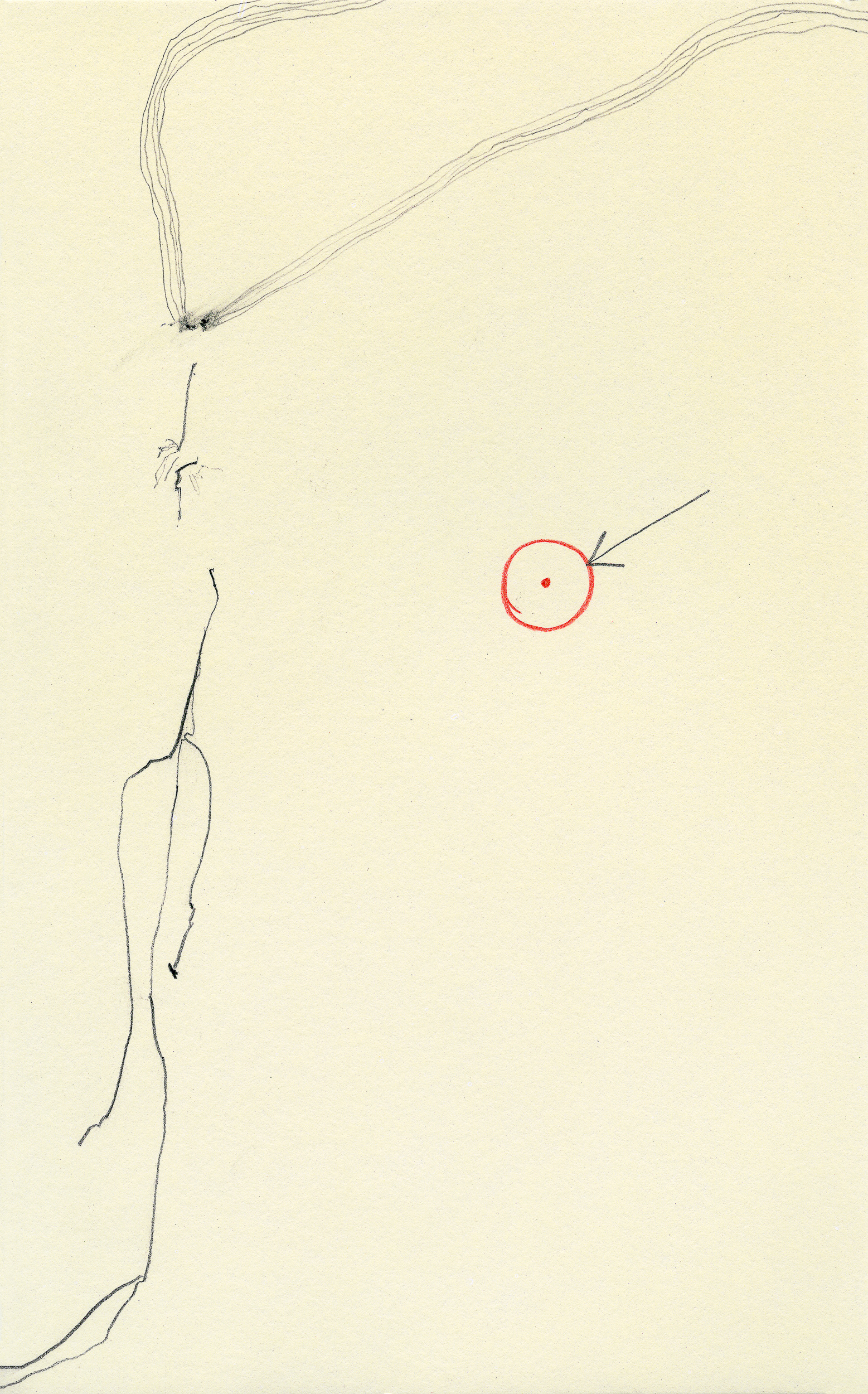 2009 _ 21x13 cm