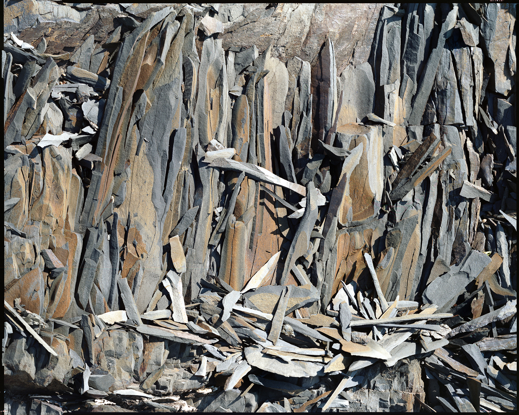 PEZZI _ 2015 _ neg.20x25 cm _ 190x150 cm