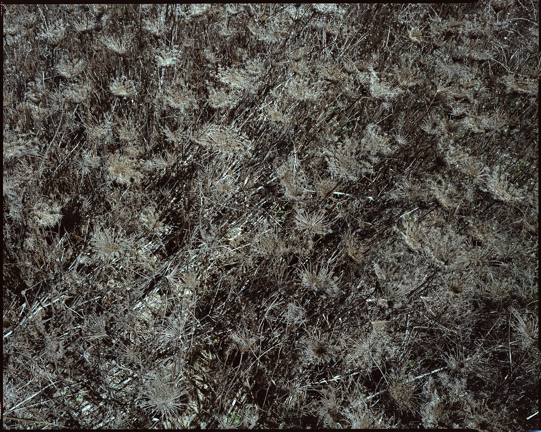 ANNOTAZIONI _ 2013 _ neg. 20x25 cm _ dim. 190X150 cm