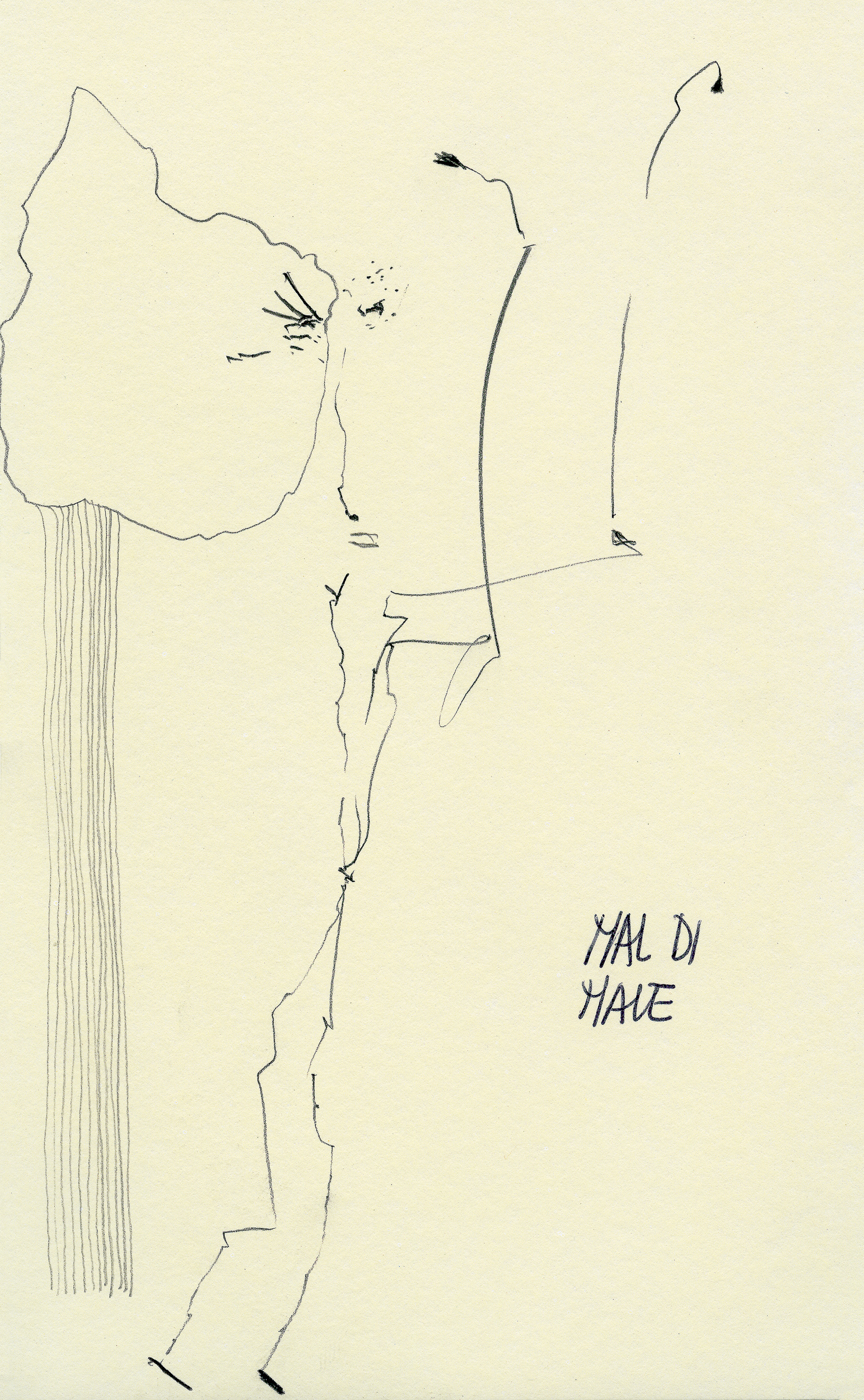 2007 _ 21x13 cm
