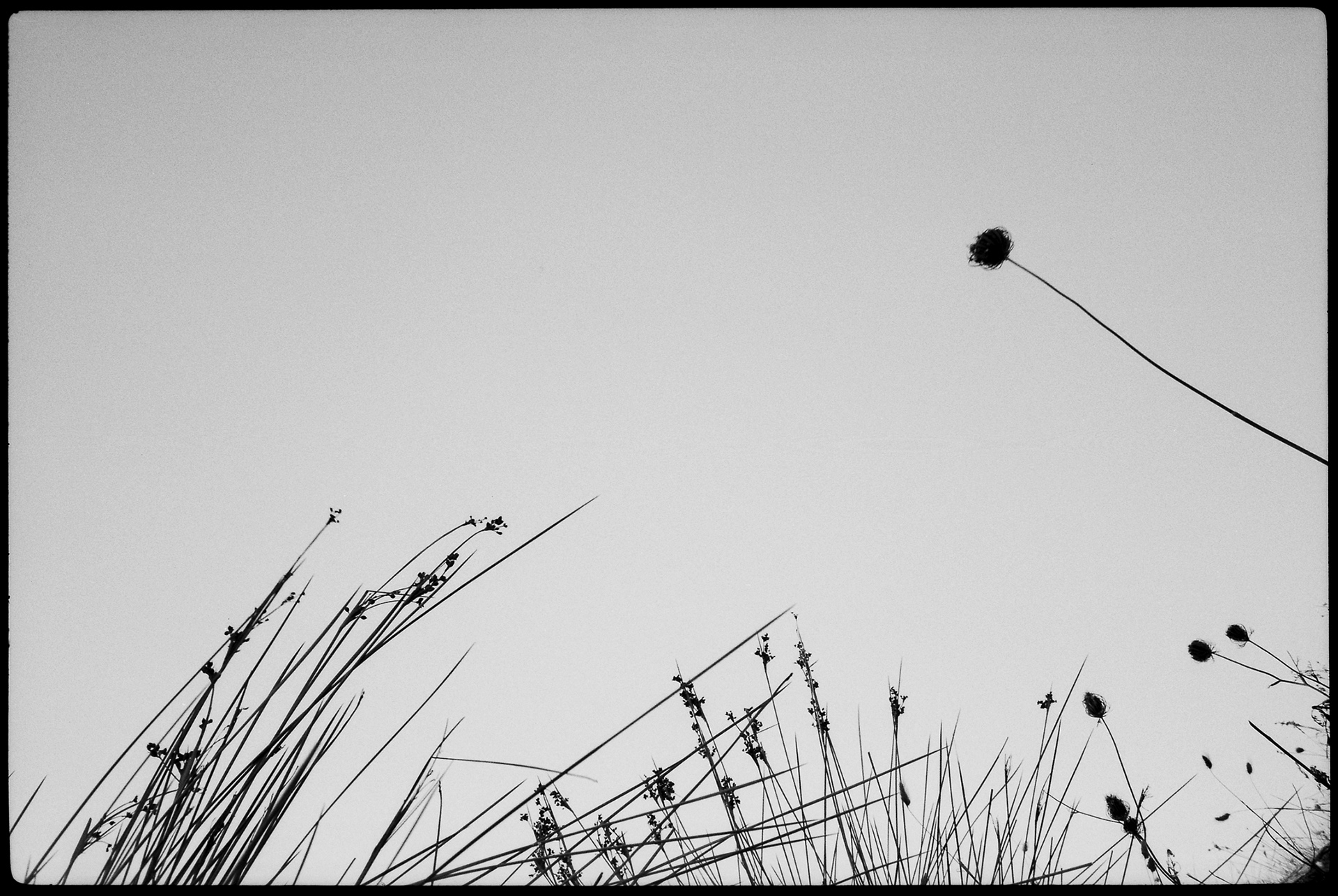 ANNOTAZIONI _ 2012 _ neg. B/W 35mm _ 40x30 cm