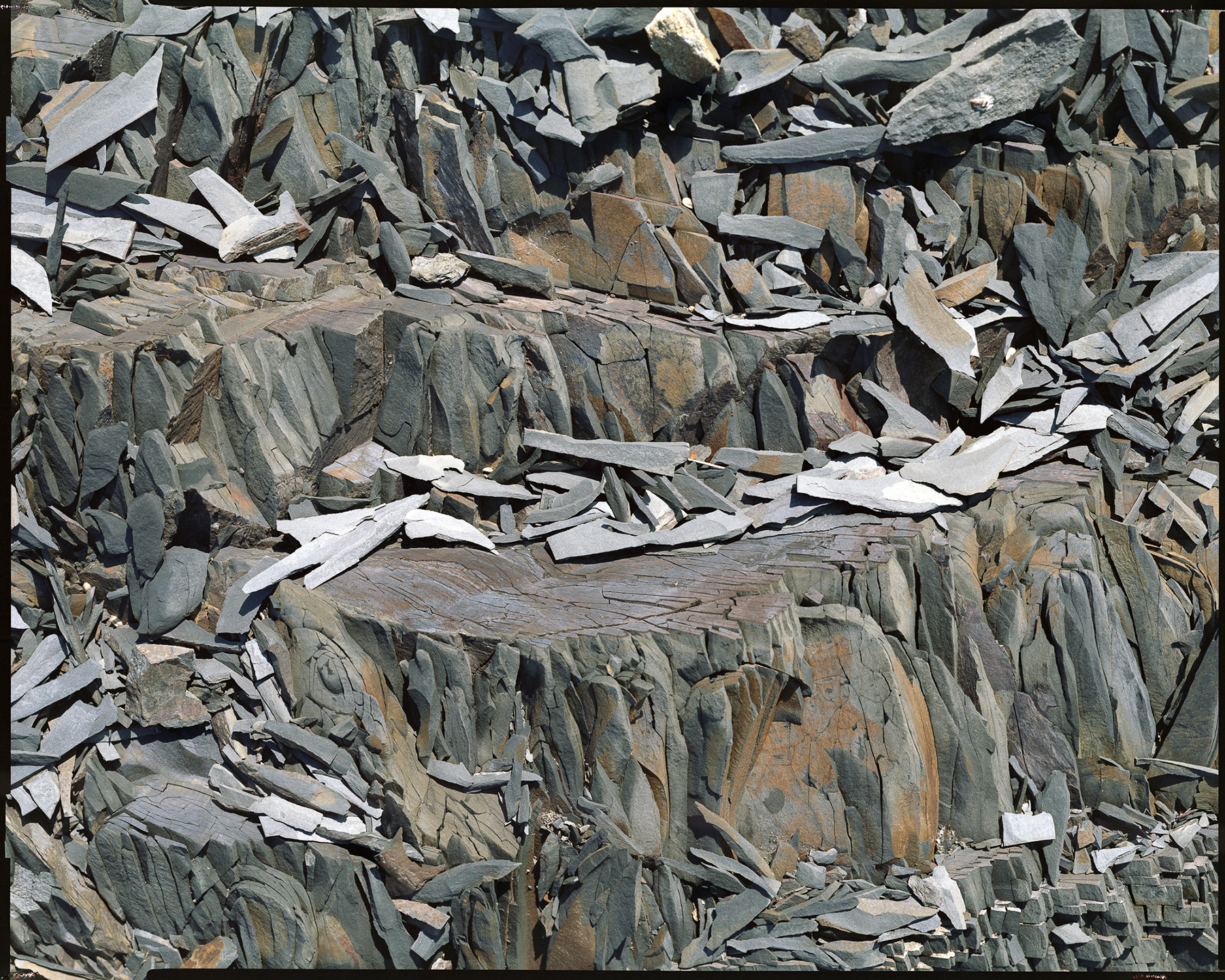 PEZZI _ 2015 _ neg.20x25 cm _ 190x150 cm