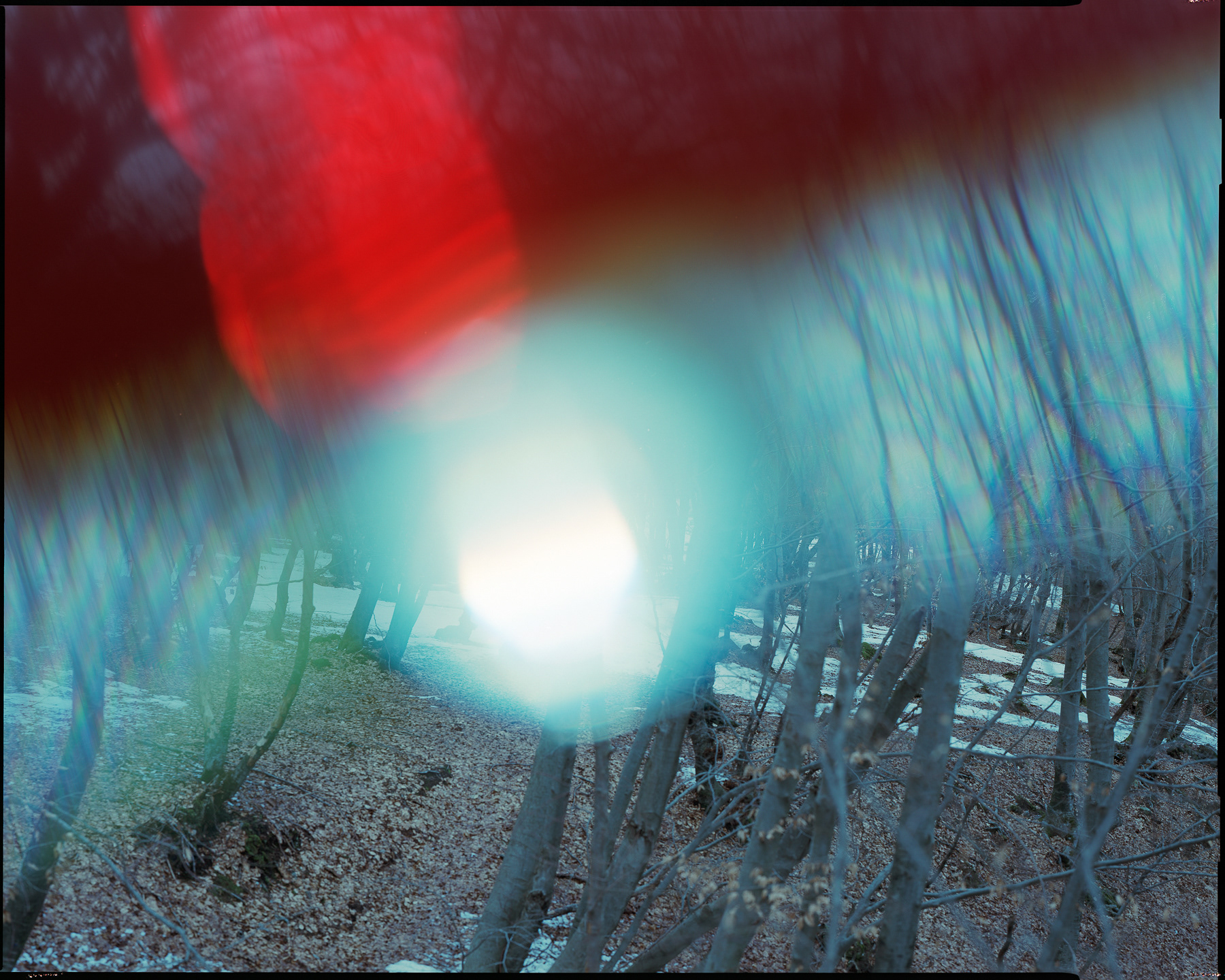 SHINING _ 2021 _ neg. 20x25 cm _ dim. 150x120 cm
