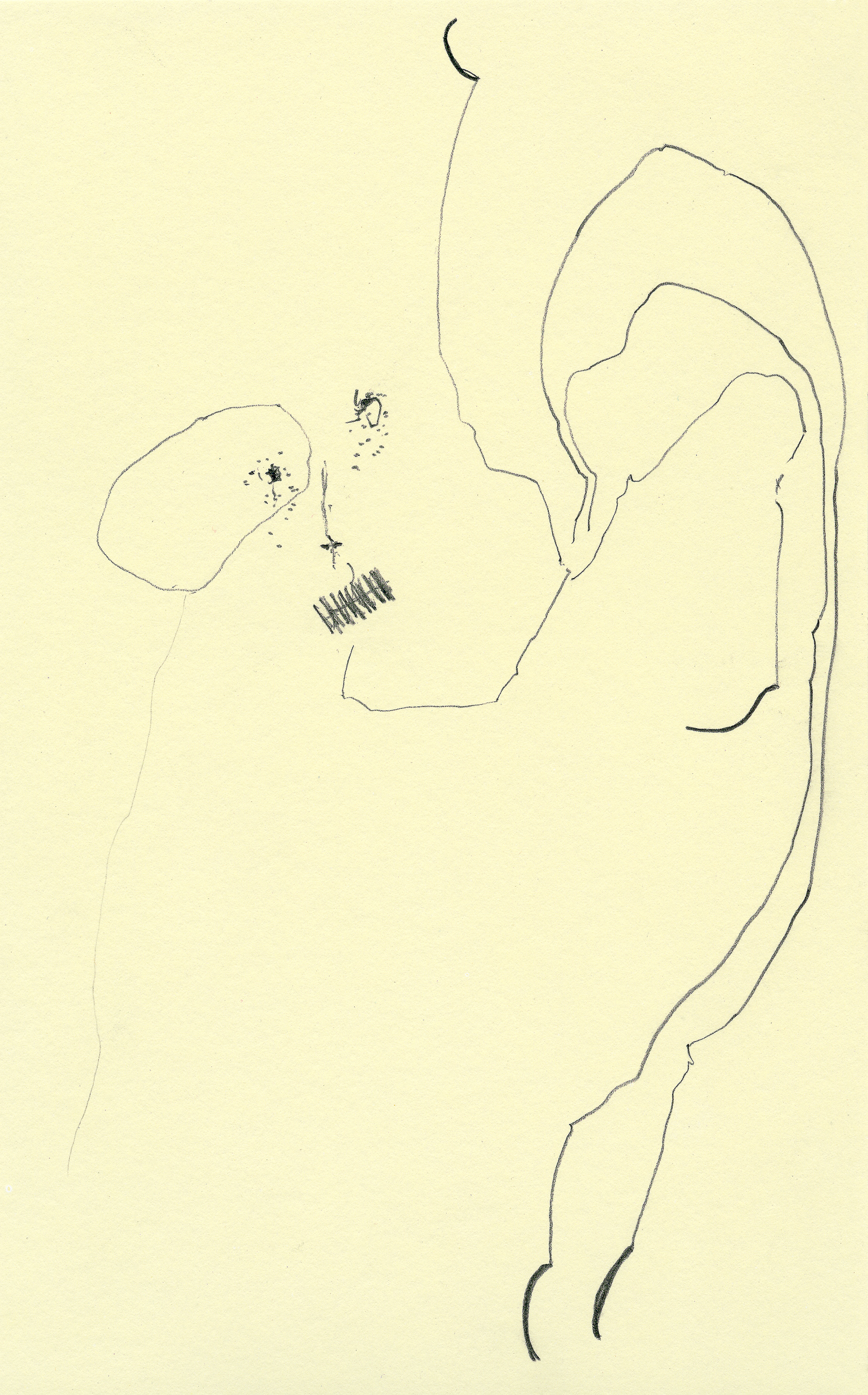 2007 _ 21x13 cm