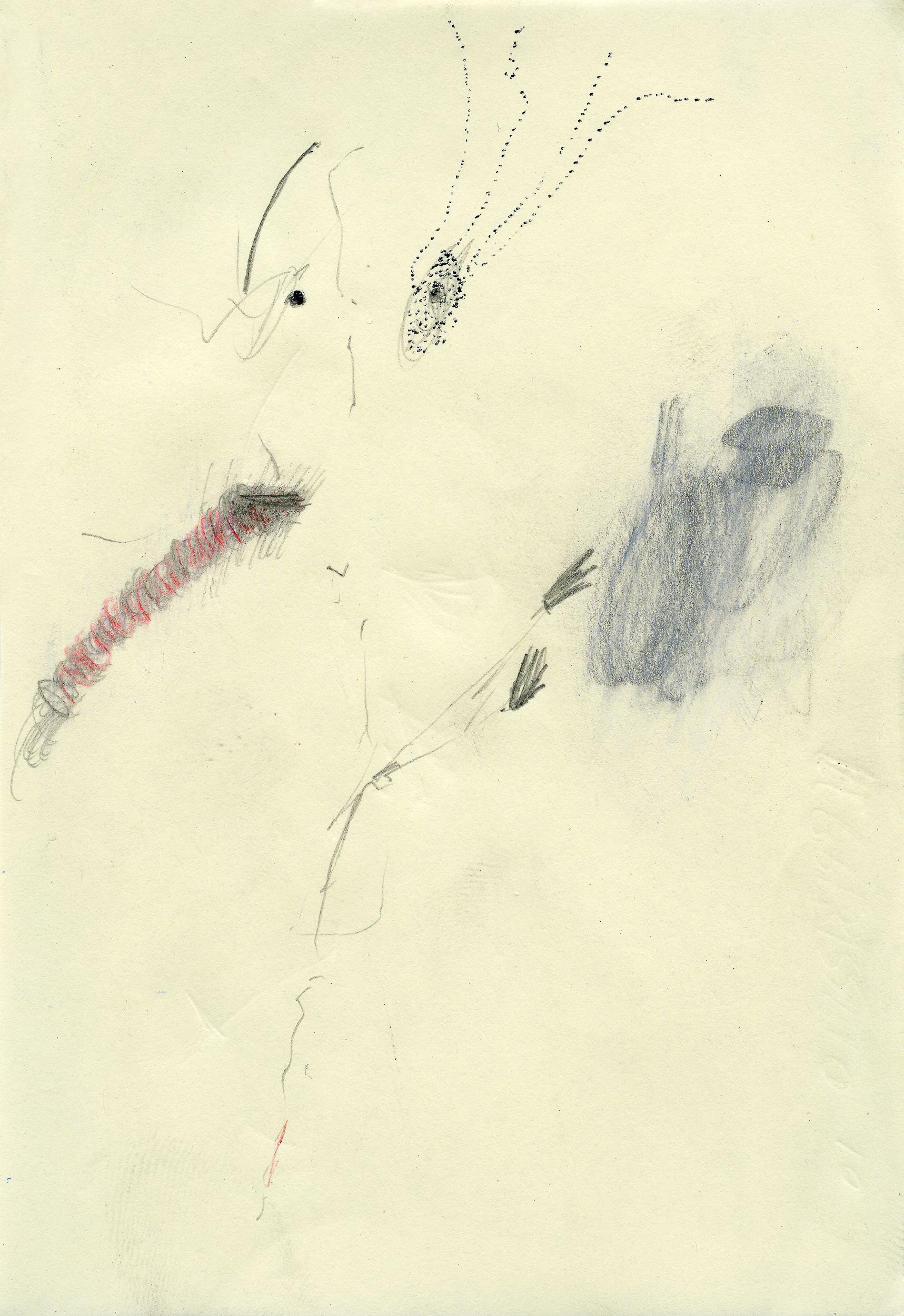 2005 _ 15x10 cm