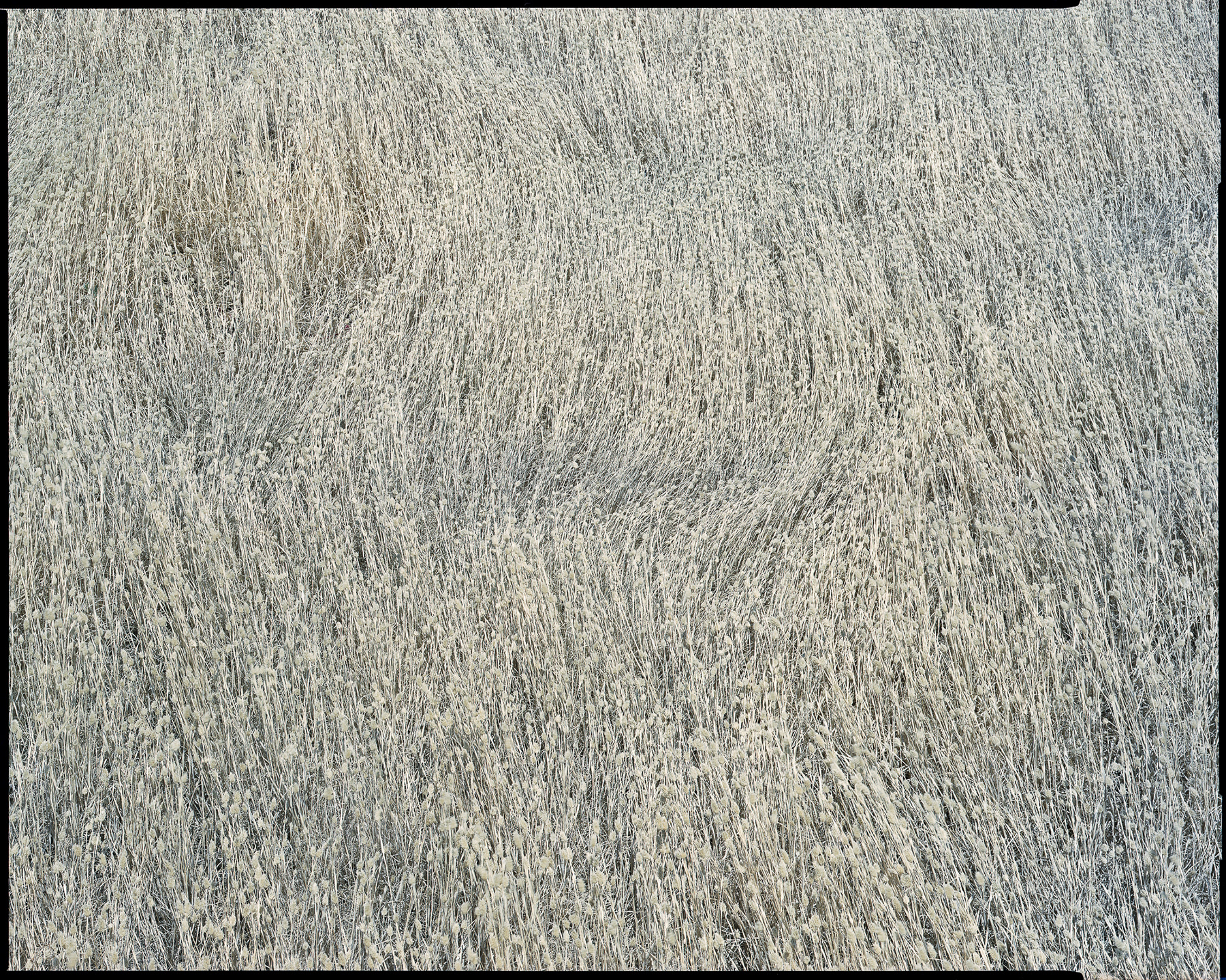 ANNOTAZIONI _ 2016 _ neg. 20x25 cm _ dim. 190x150 cm