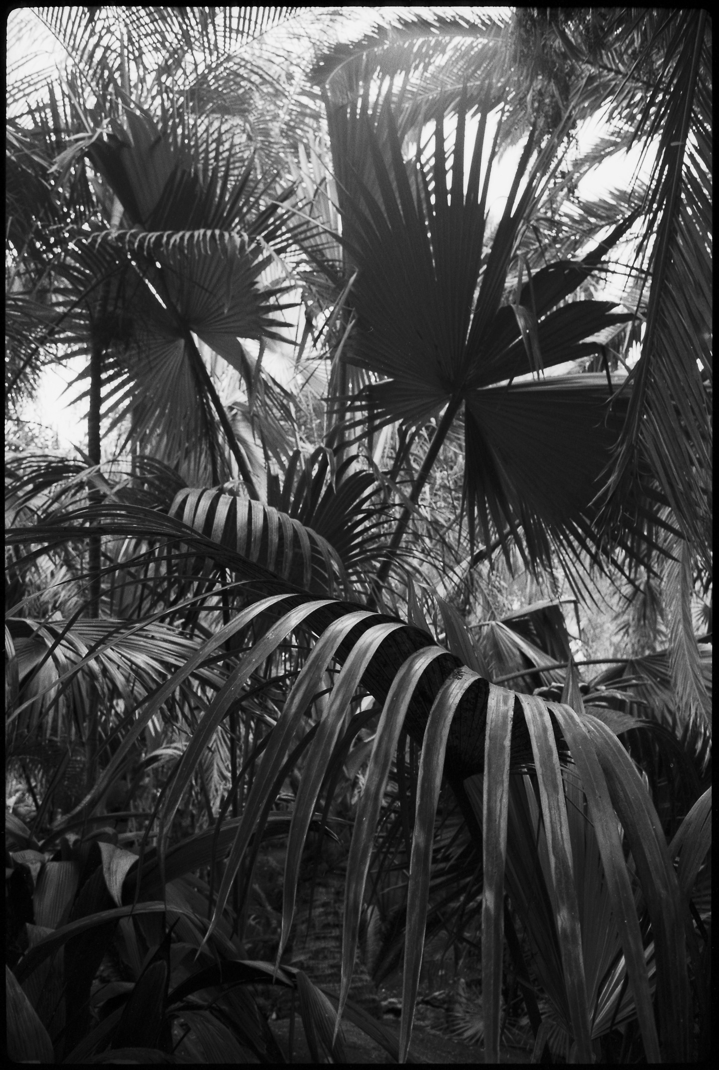 ANNOTAZIONI _ 2014 _ neg. B/W 35mm _ 40x30 cm