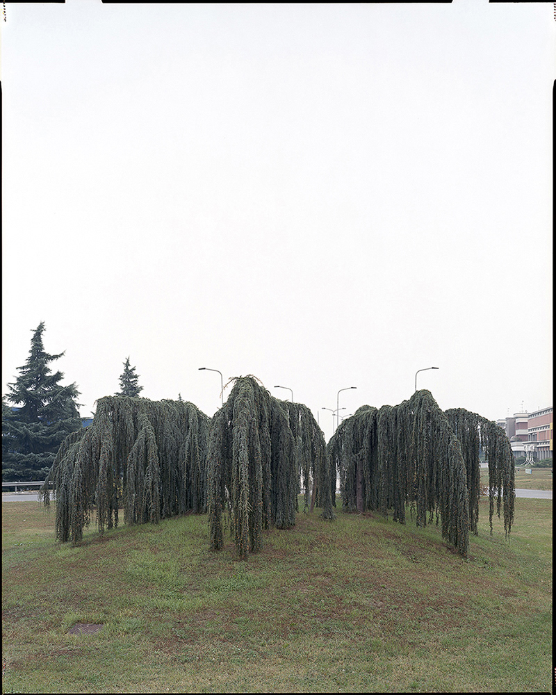 A POCHI KM DA CASA _ 2011 _ neg. 20x25 cm _ dim. 190x150 cm