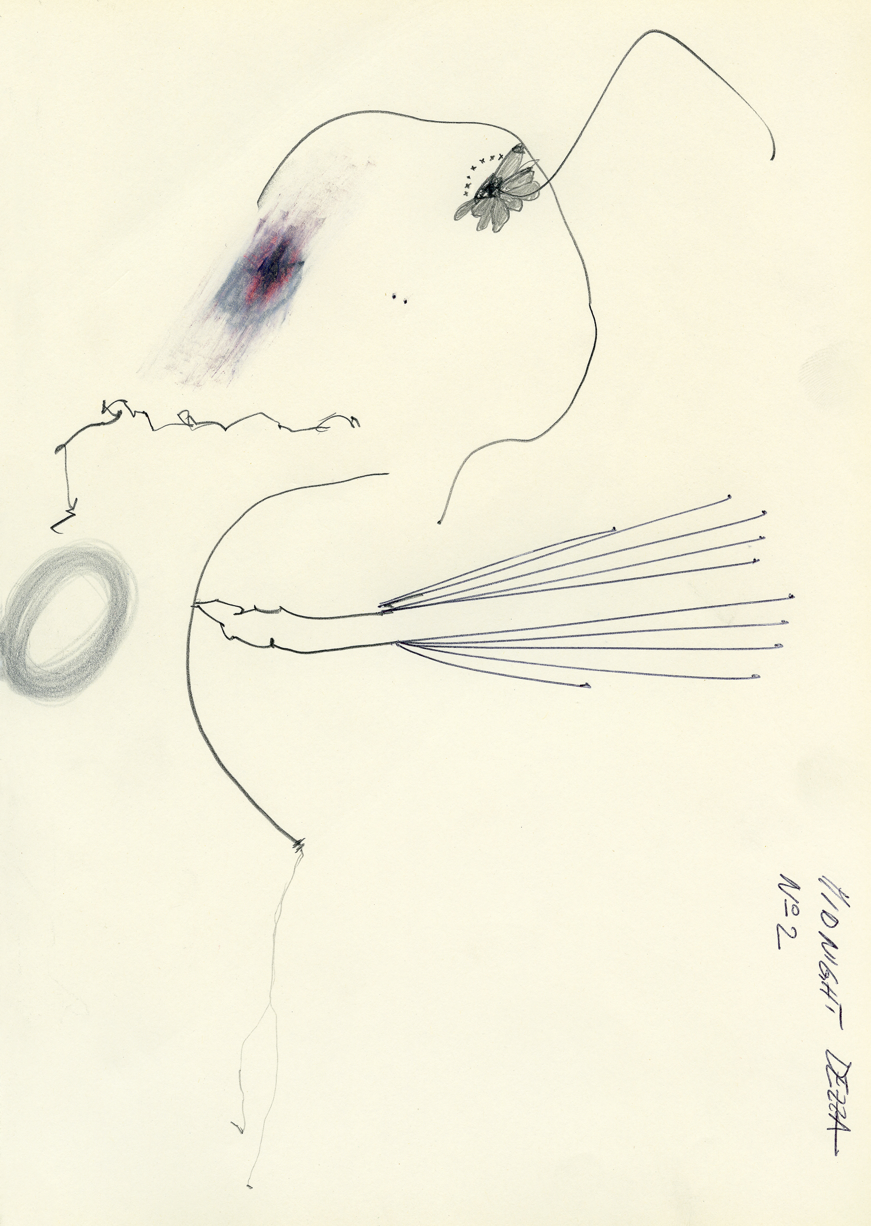 2011 _ 29x20 cm