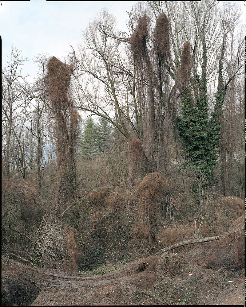 A POCHI KM DA CASA _ 2011 _ neg. 20x25 cm _ dim. 190x150 cm
