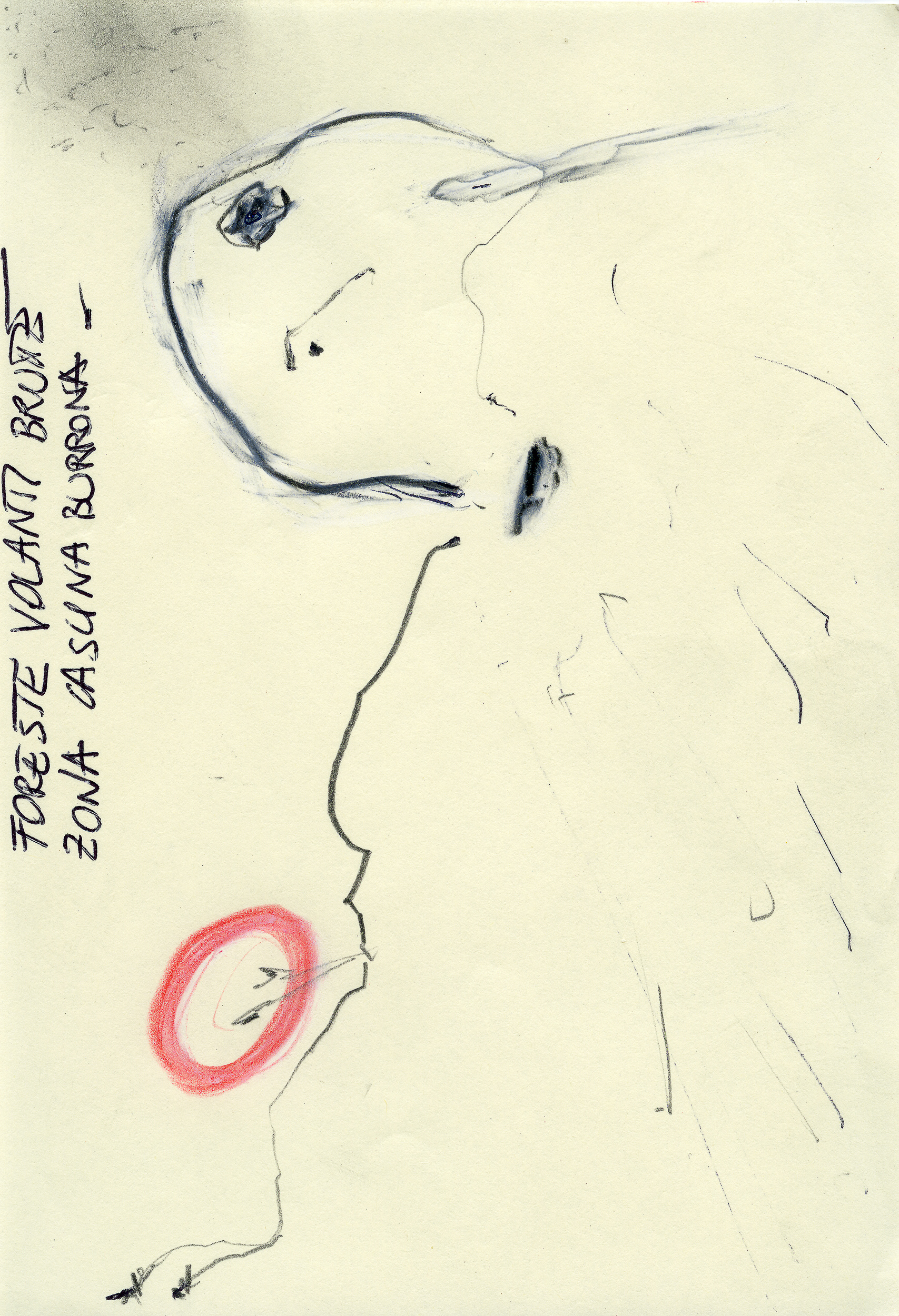 2005 _ 15x10 cm