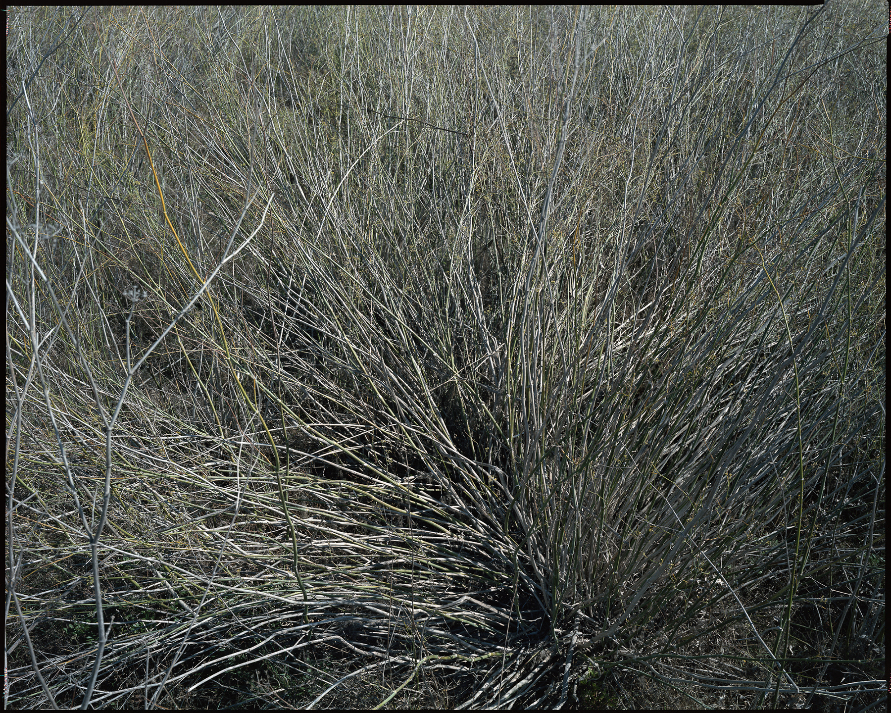 ANNOTAZIONI _ 2013 _ neg. 20x25 cm _ dim. 190X150 cm