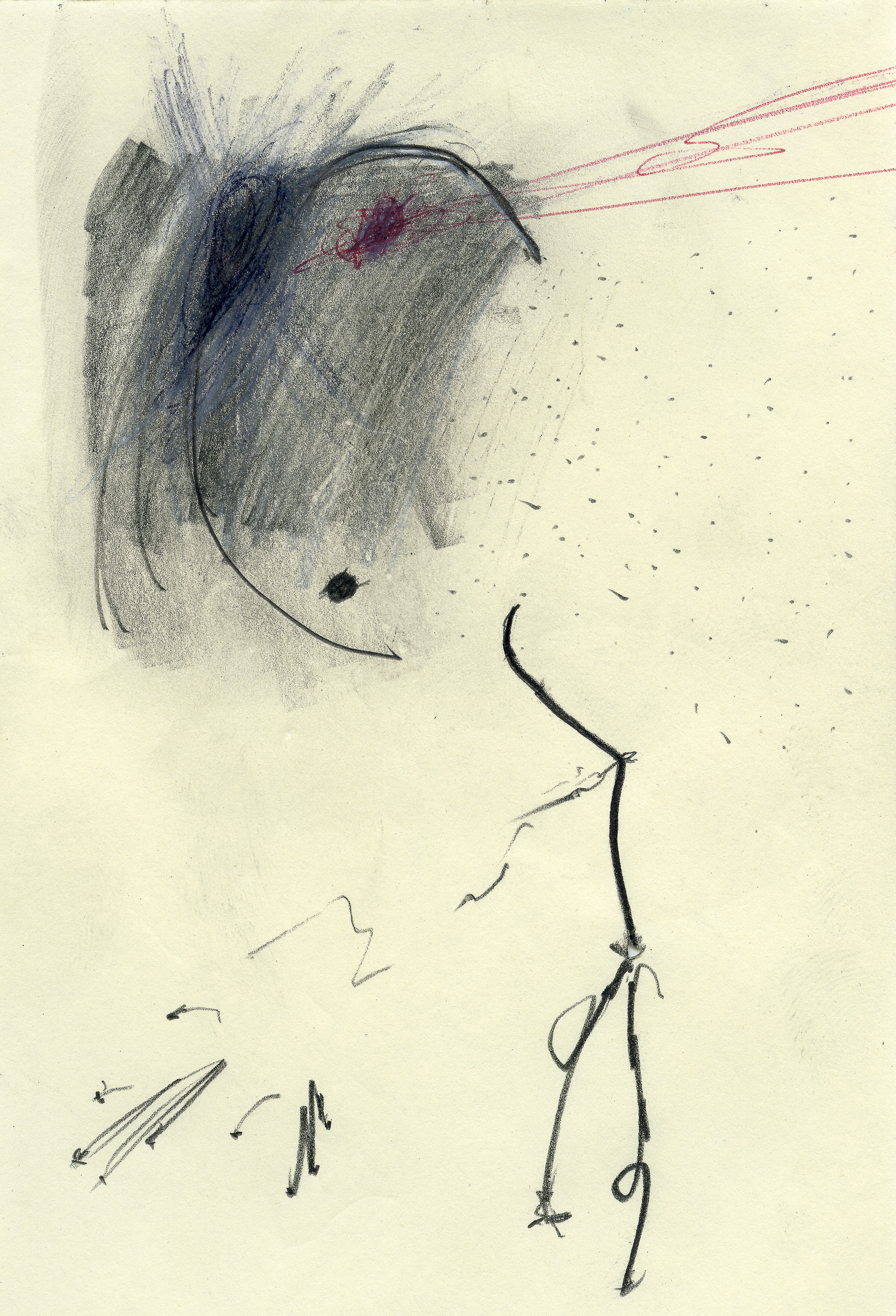 2006 _ 15x10 cm