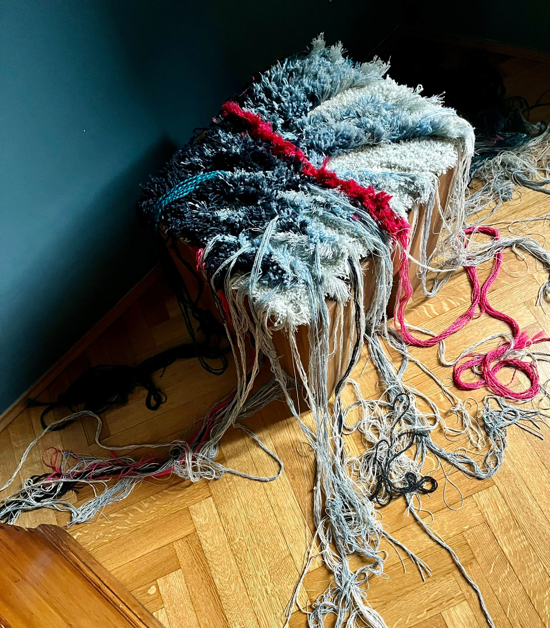 Cushion x Wings of Change